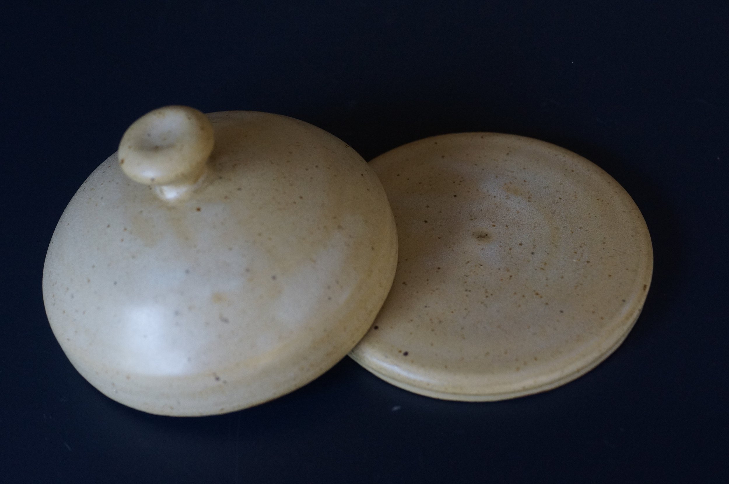Dish2.JPG