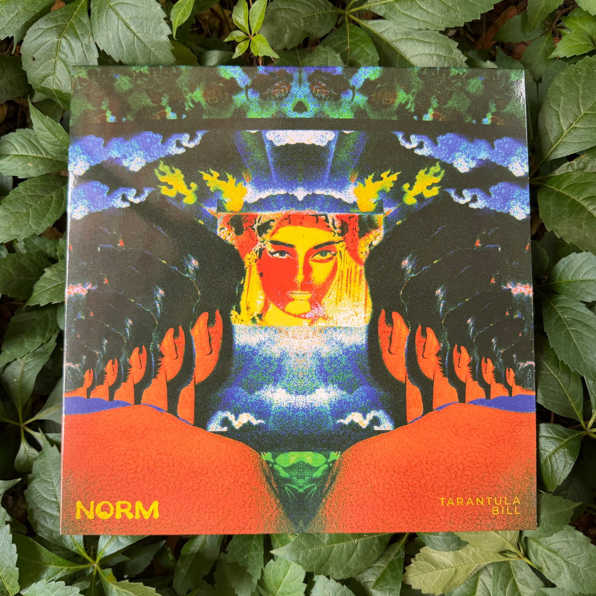 Tarantula Bill - Norm 12" Vinyl