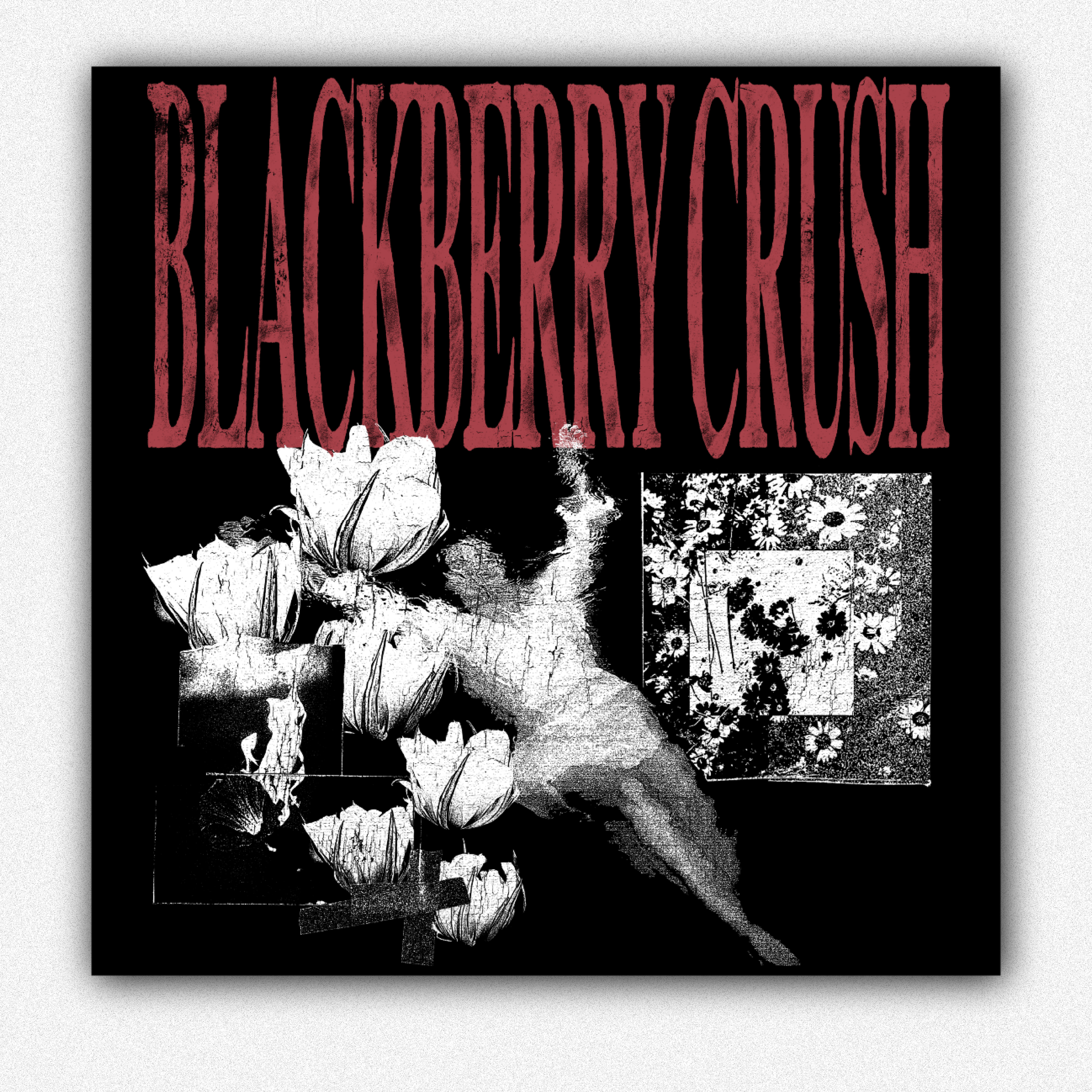 BlackberryCrushLogoSticker.png