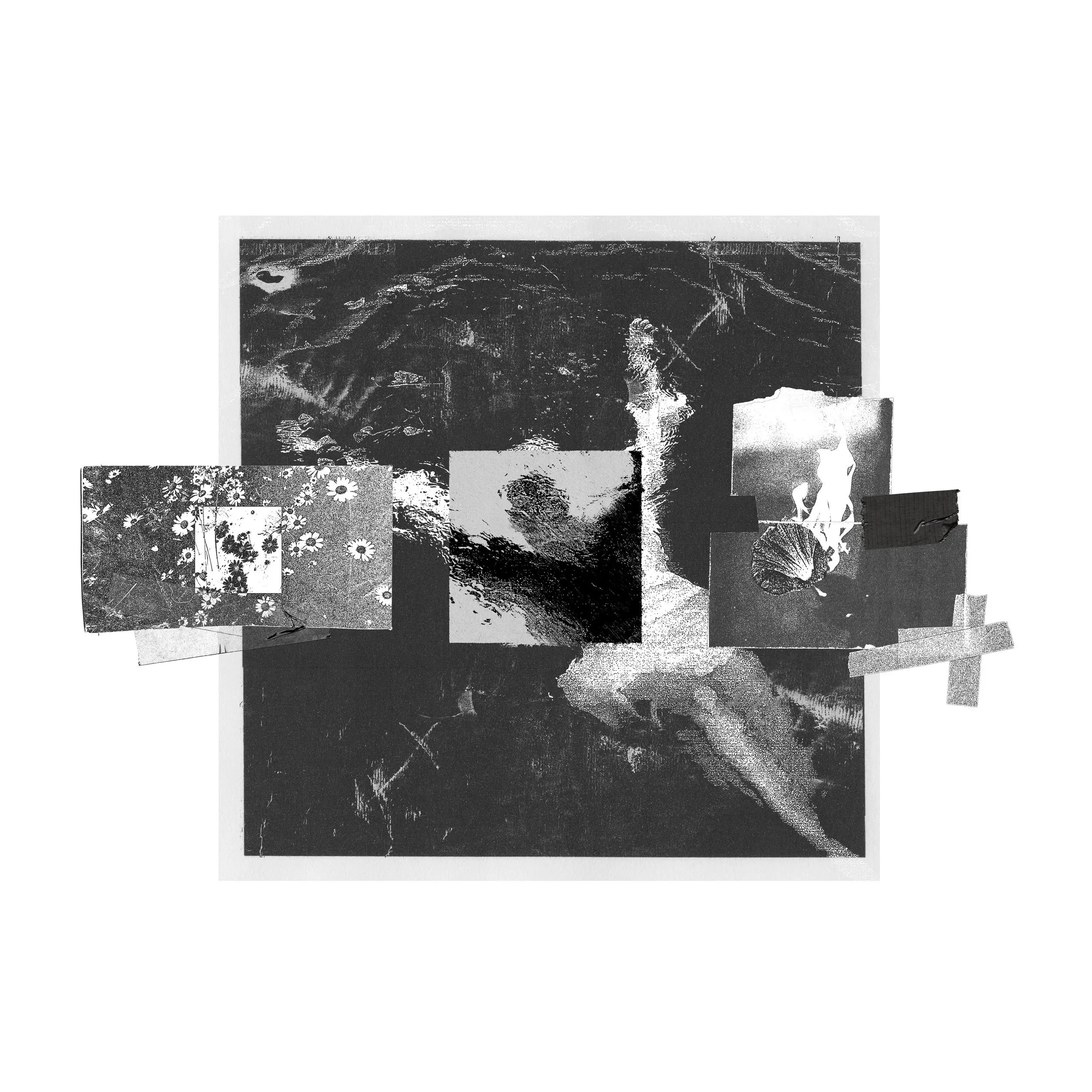 Blackberry Crush - My Own Backyard