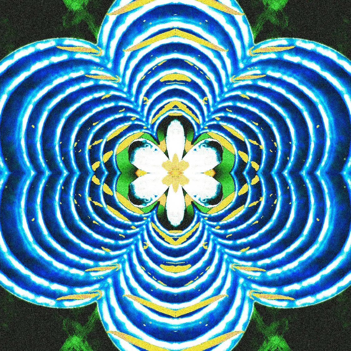 Tarantula Bill - This Doesn't Have To Be It