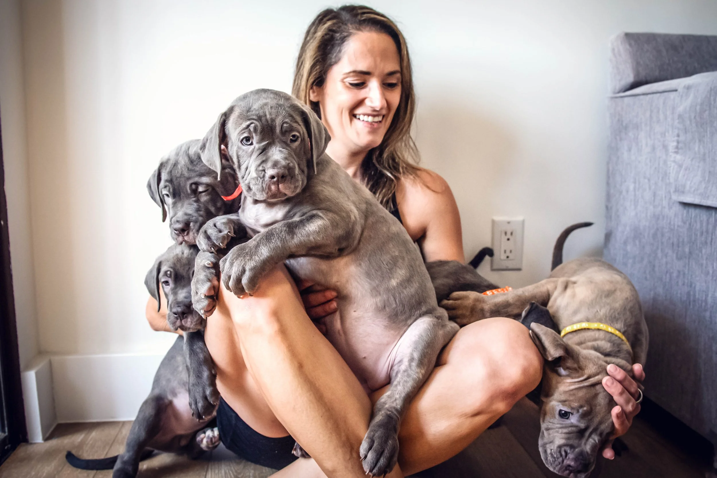 Puppy-Home-Session-6700.jpg
