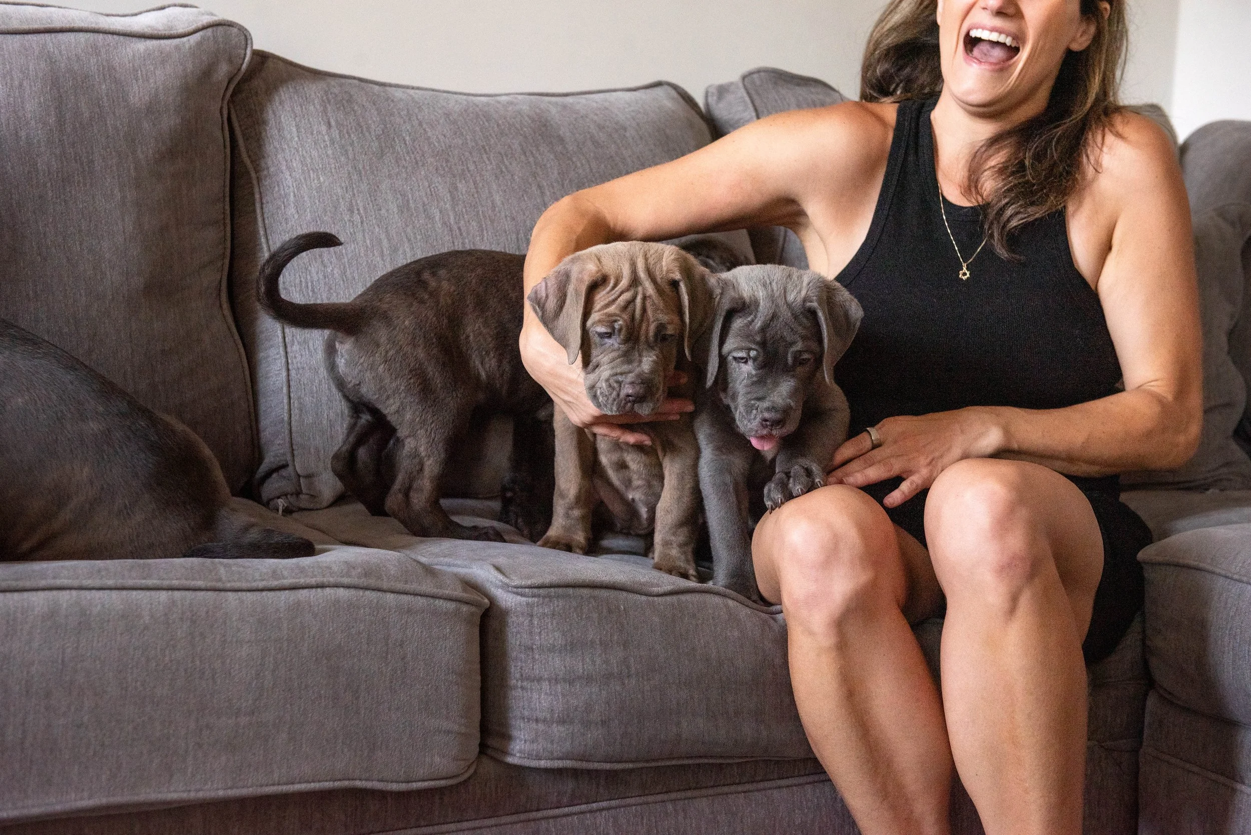 Puppy-Home-Session-7146.jpg