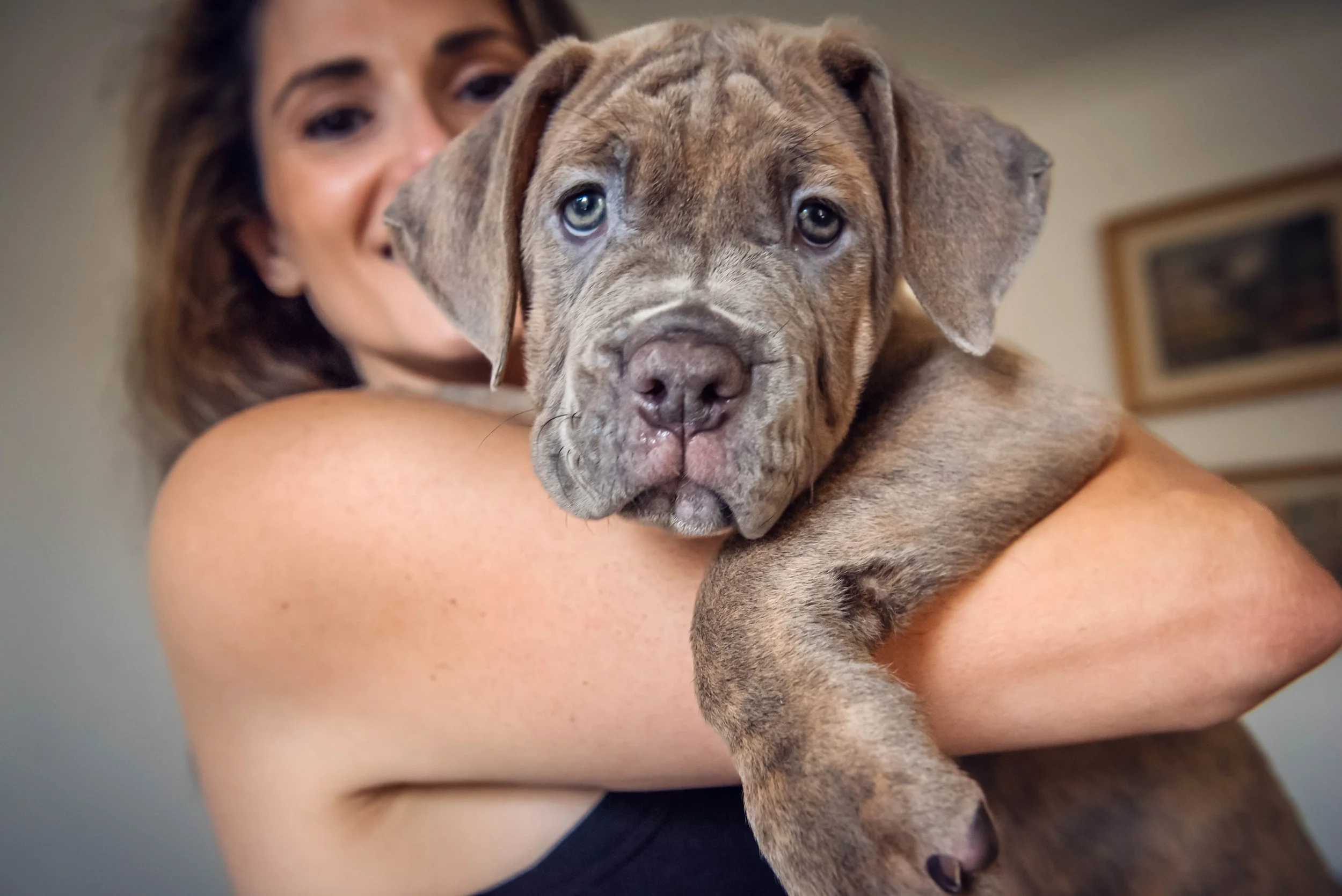 Puppy-Home-Session-5995.jpg
