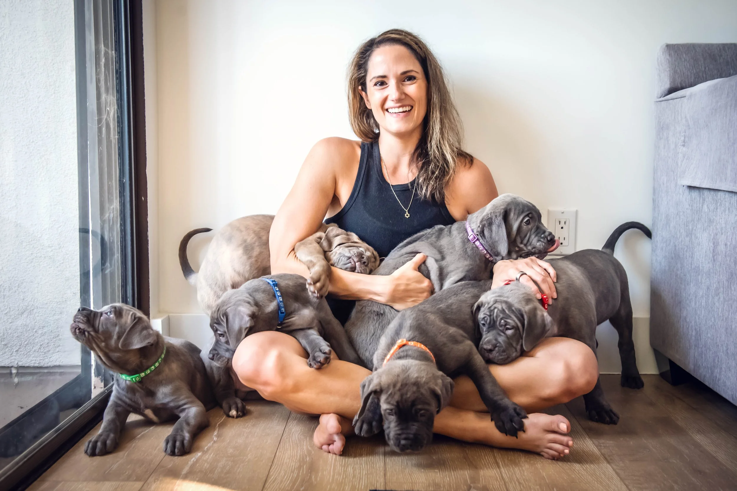 Puppy-Home-Session-6891.jpg
