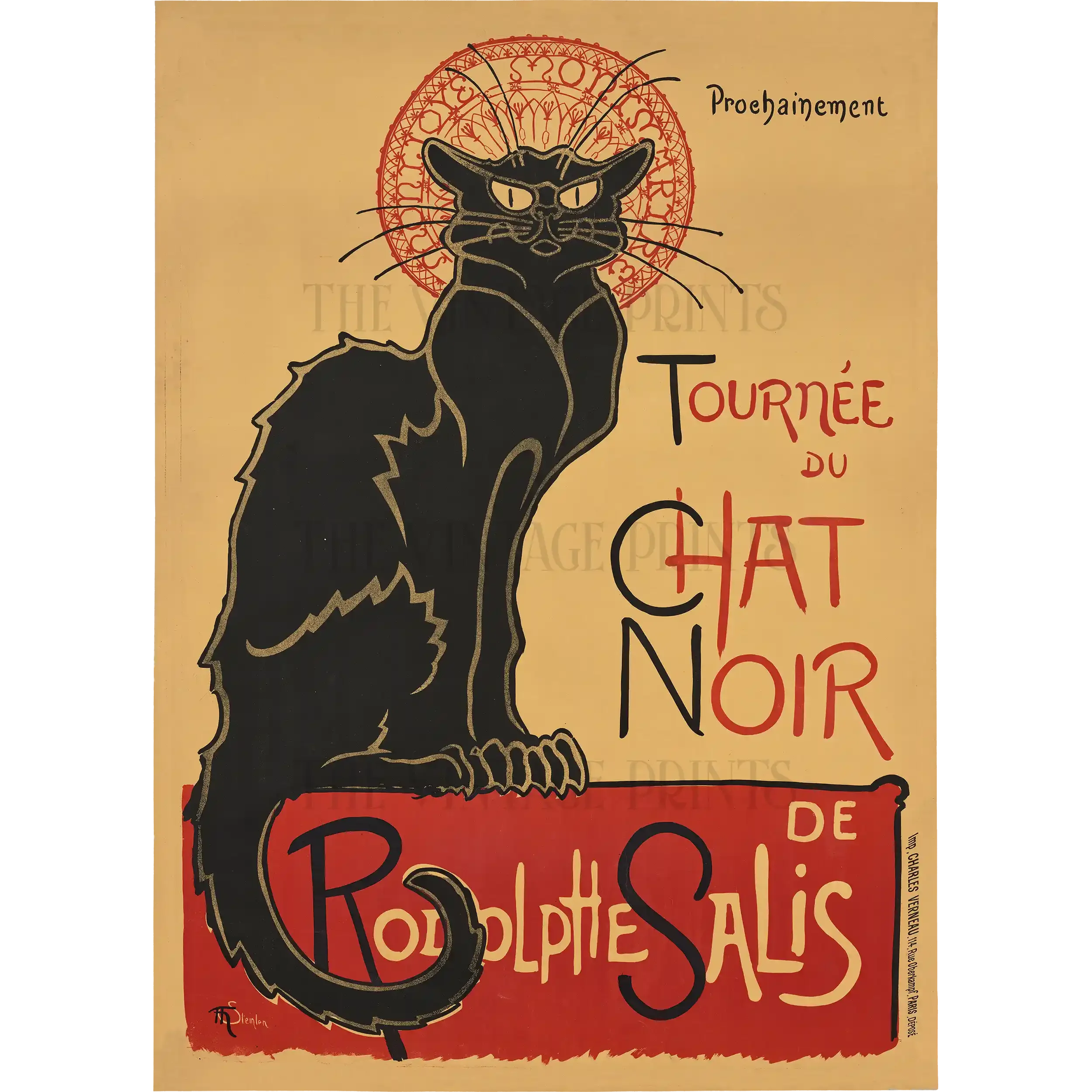 Chat_Noir_1896_Web_2500.webp