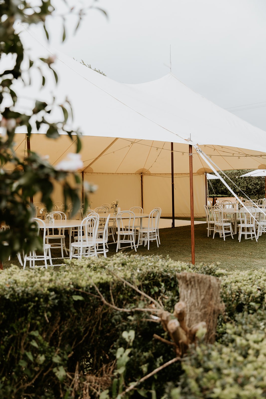 grace_wedding-44_websize.jpg