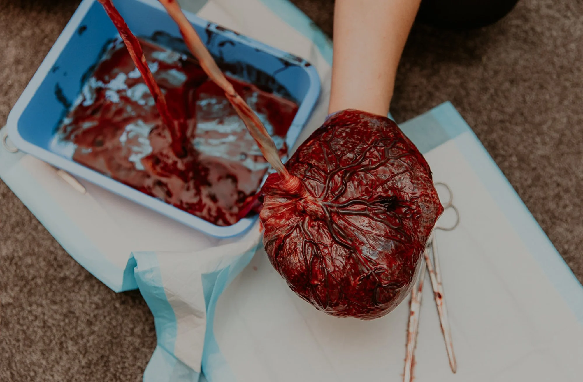 auckland birth photography-7.jpg