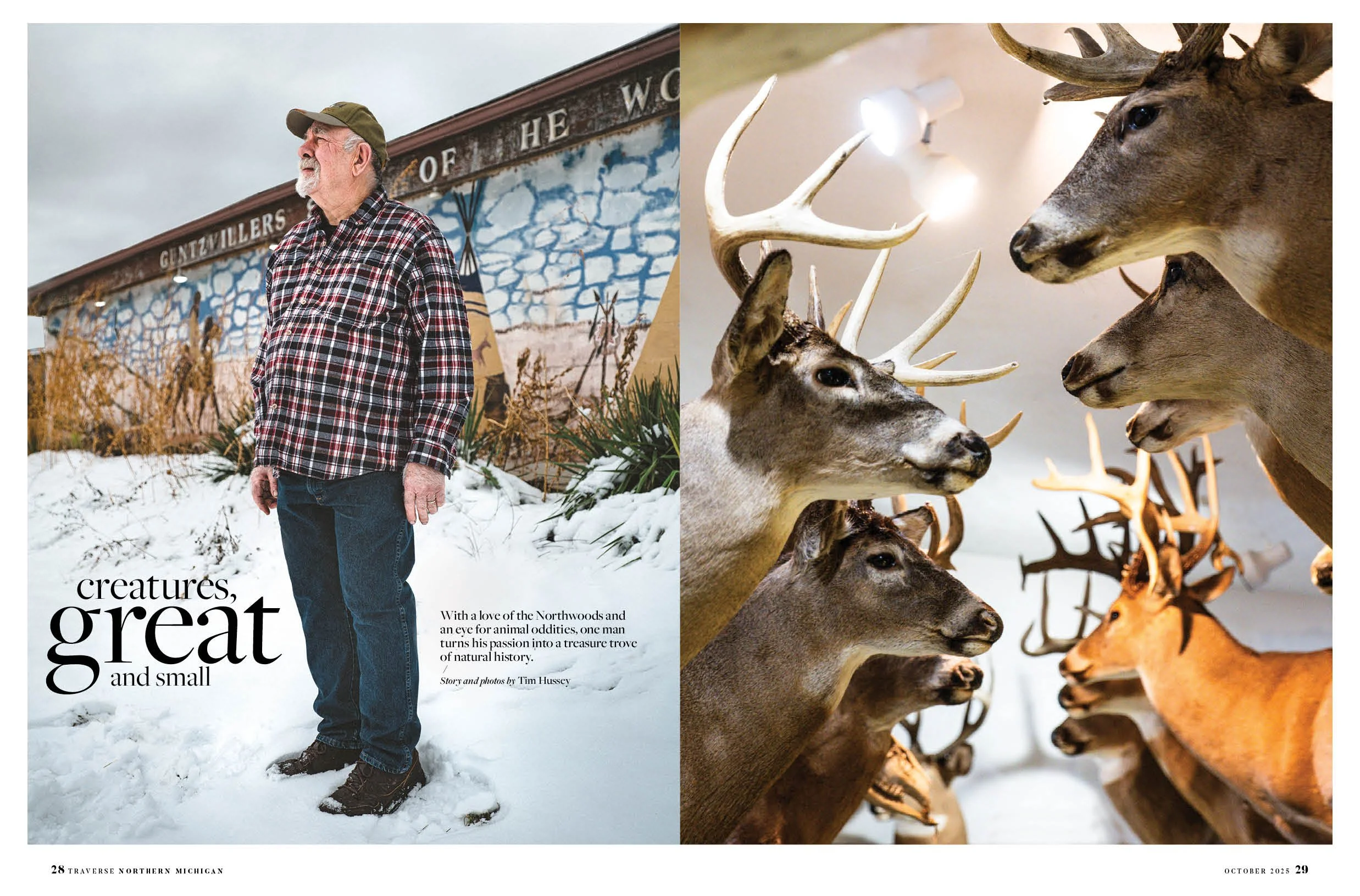 1025 Gunstvillers.jpg