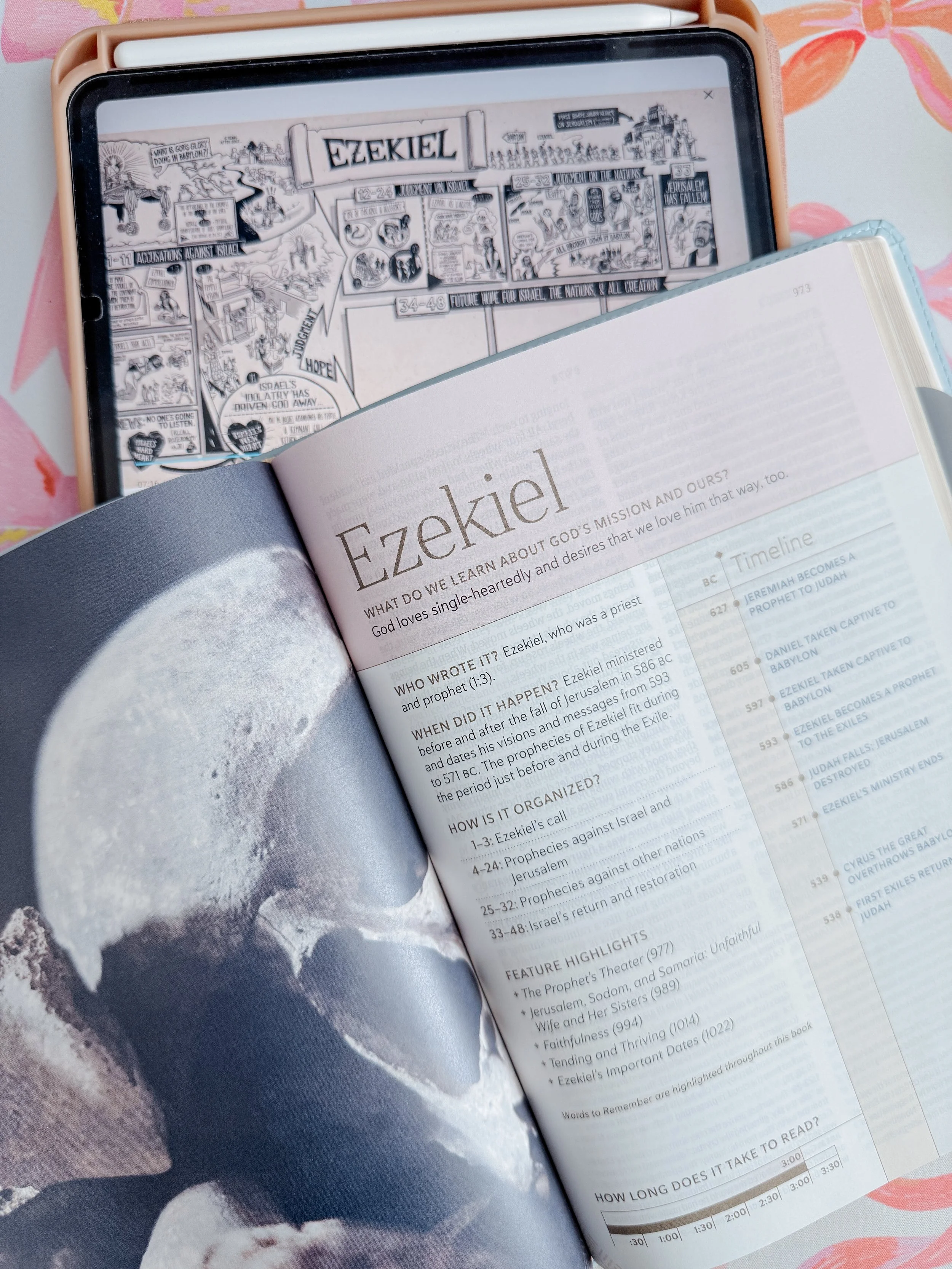 Every Woman’s Bible // Review