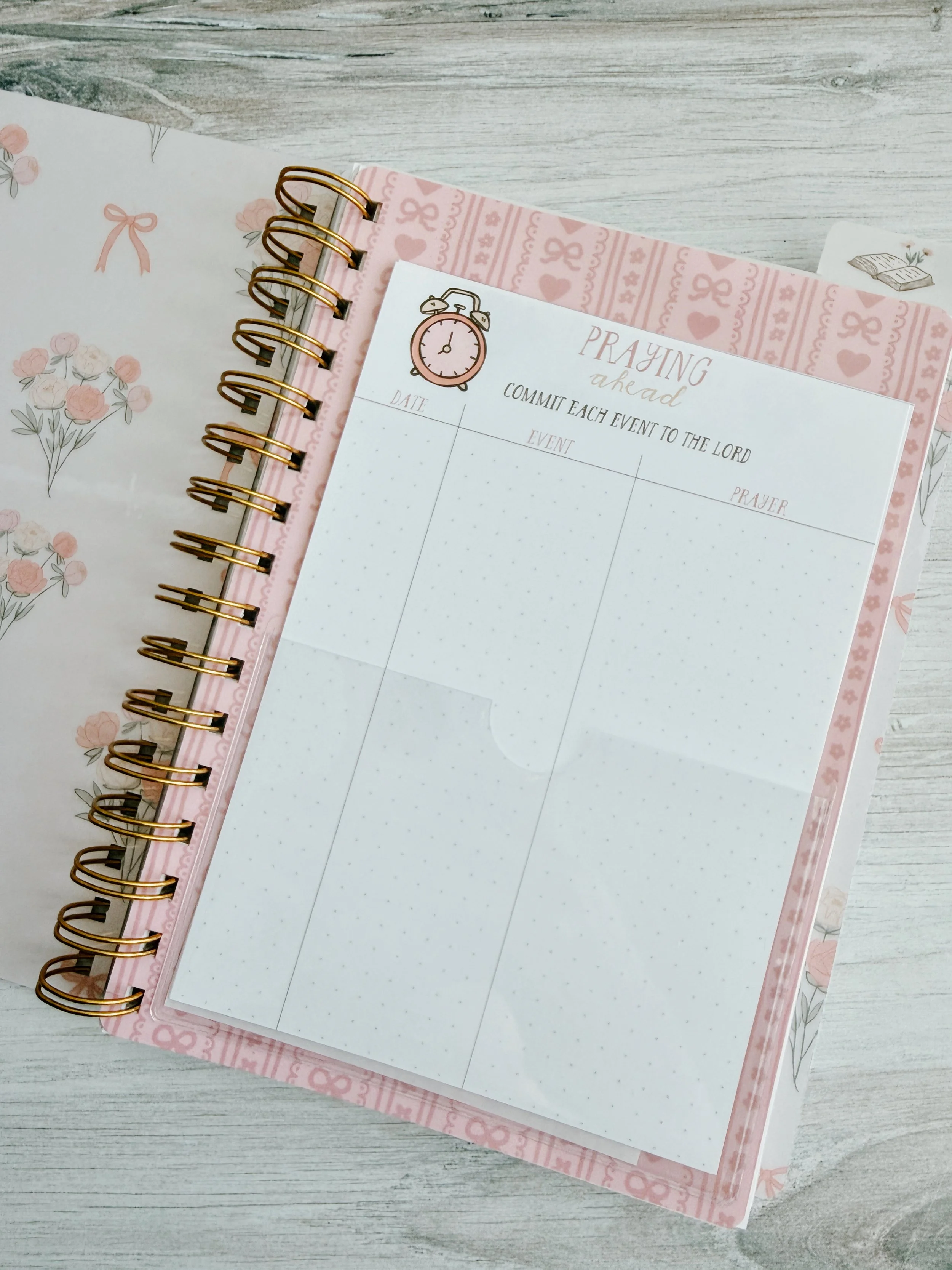 folder 2.jpg