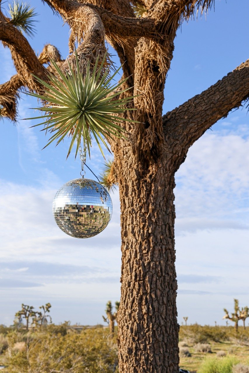 Disco Ball Large.jpeg
