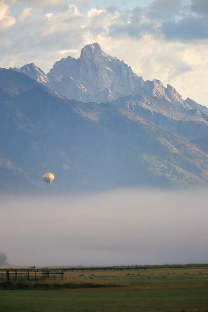 Hot Air Balloon Large.jpeg