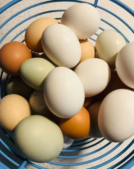 Fresh Eggs
