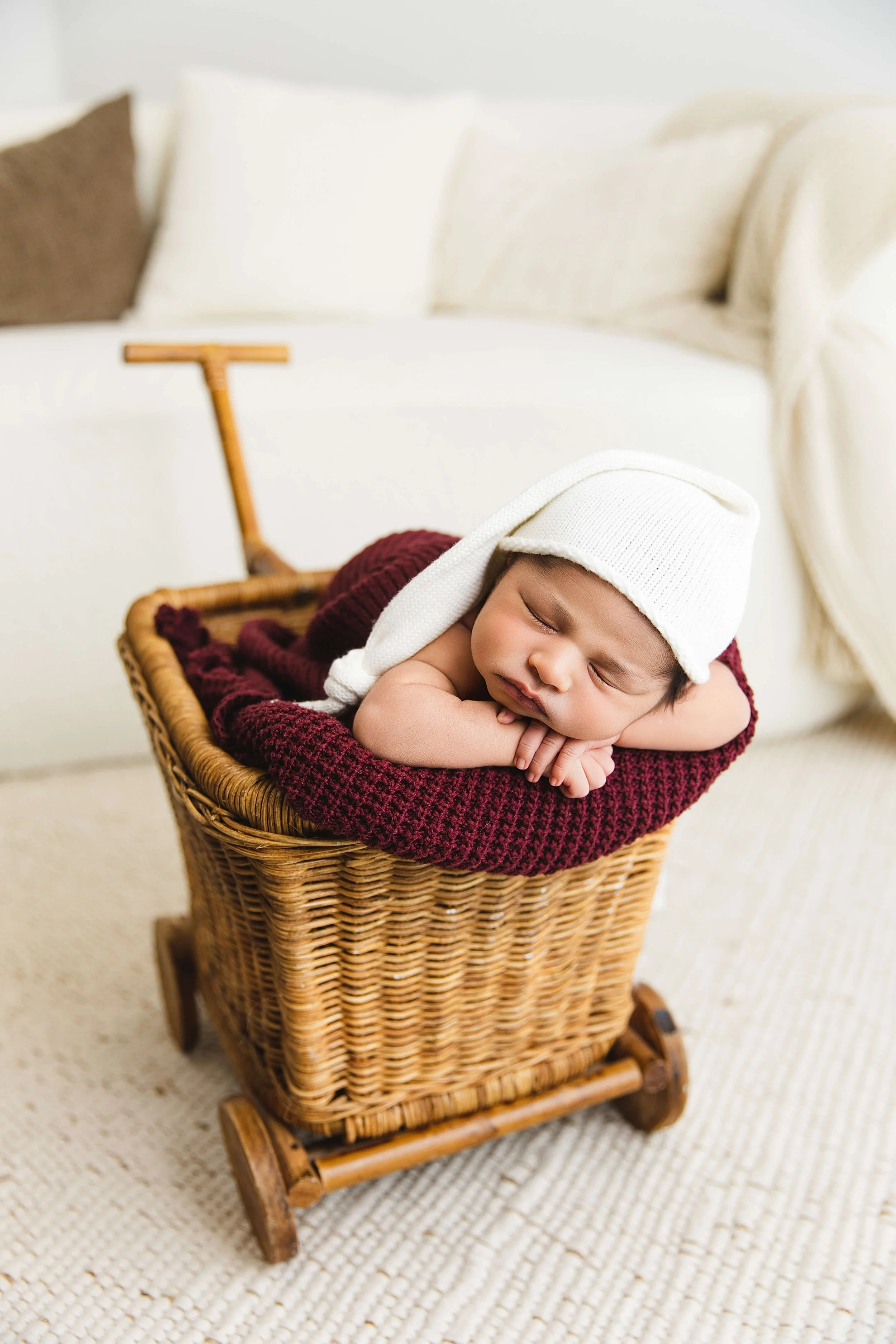 Family Newborn Portrait Dfw at Lama's Littles Photography