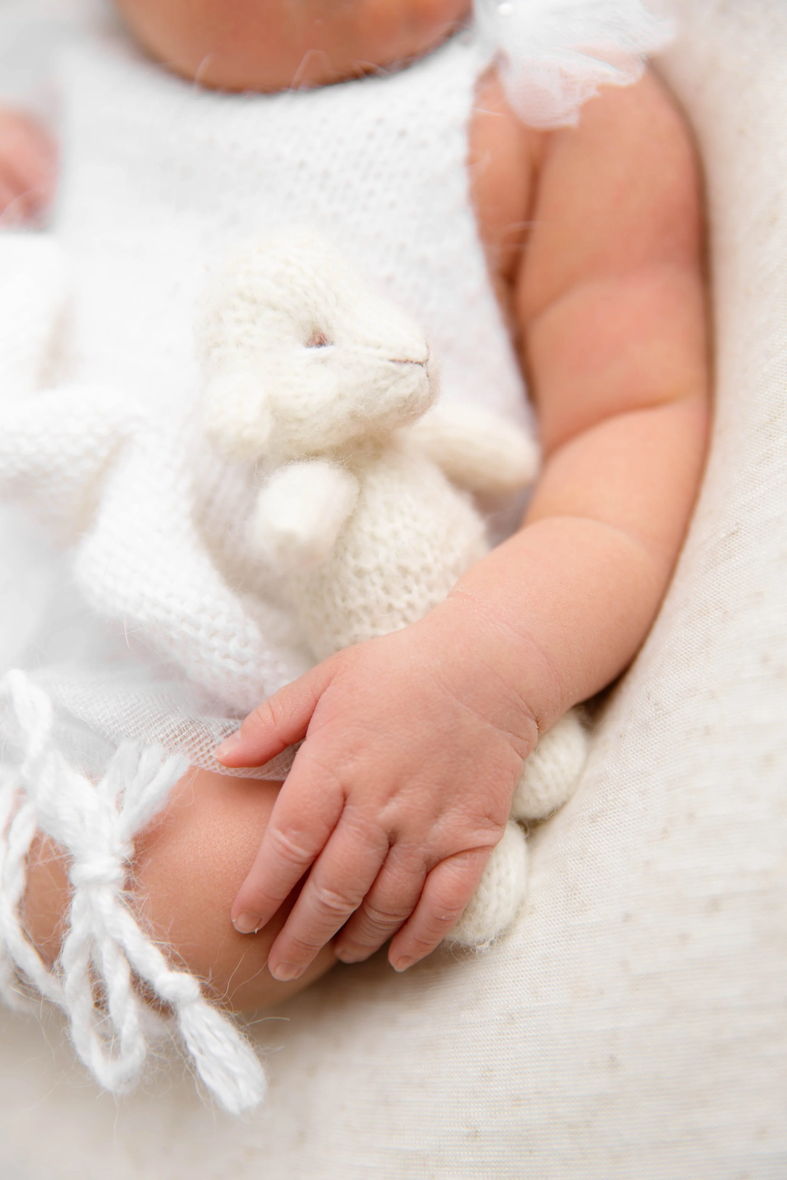 Baby Emiliana Family Story gallery photo 10