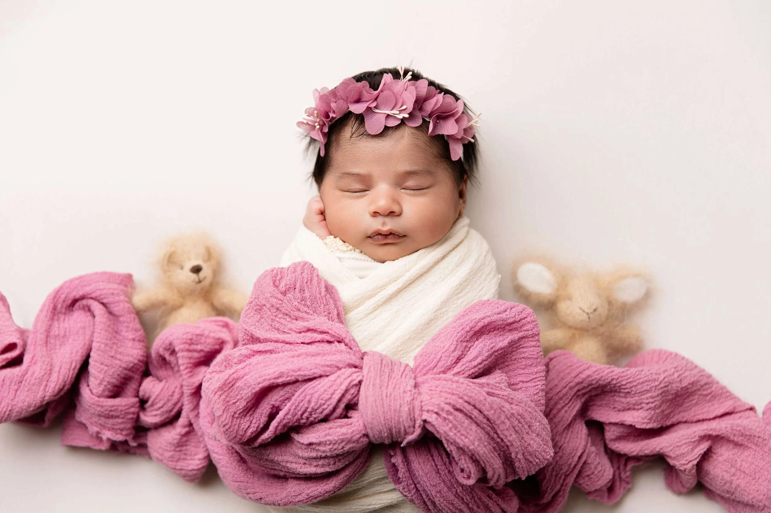 Soft pinks setup with newborn baby girl