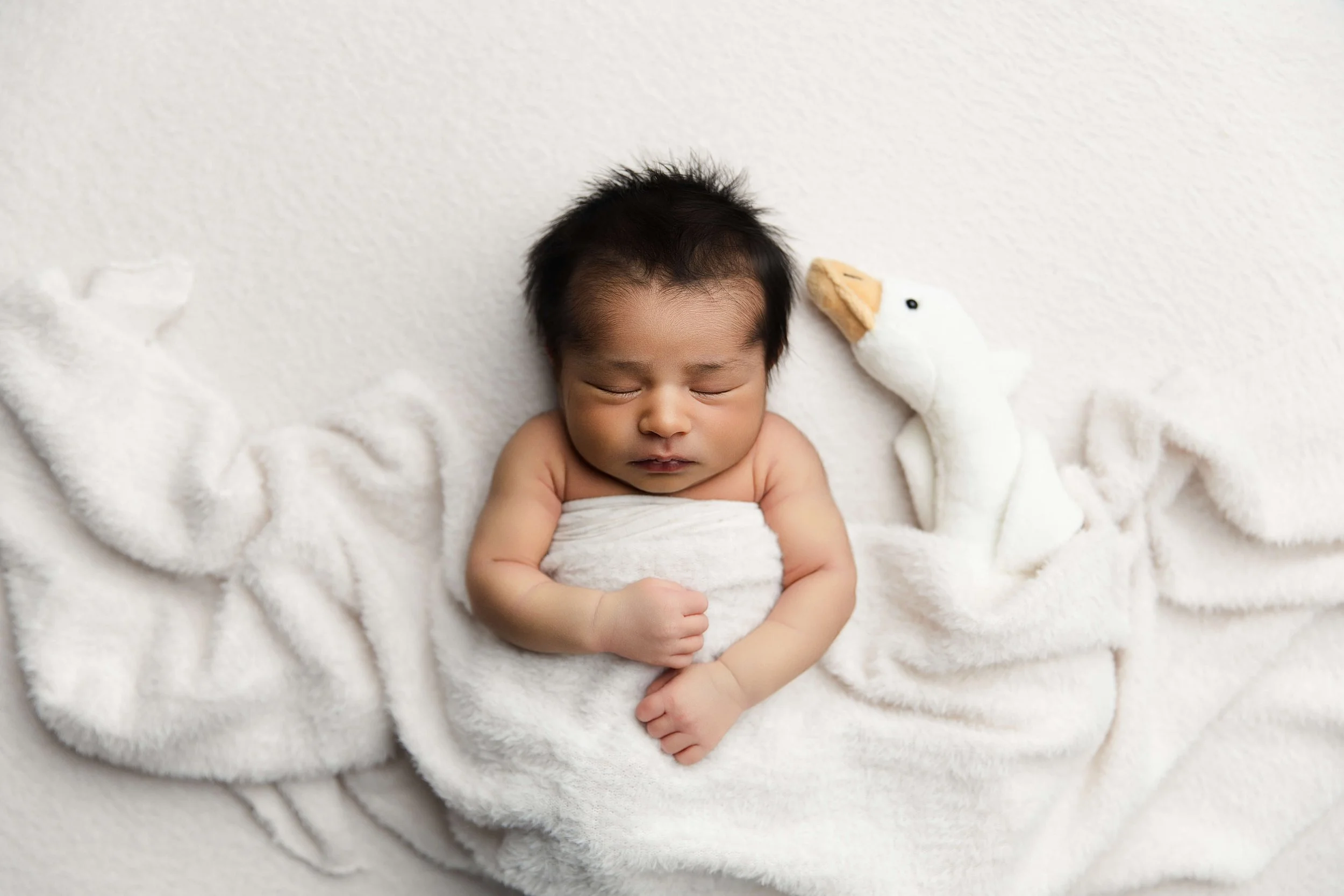 Father And Newborn Baby Portrait Dfw at Lama's Littles Photography