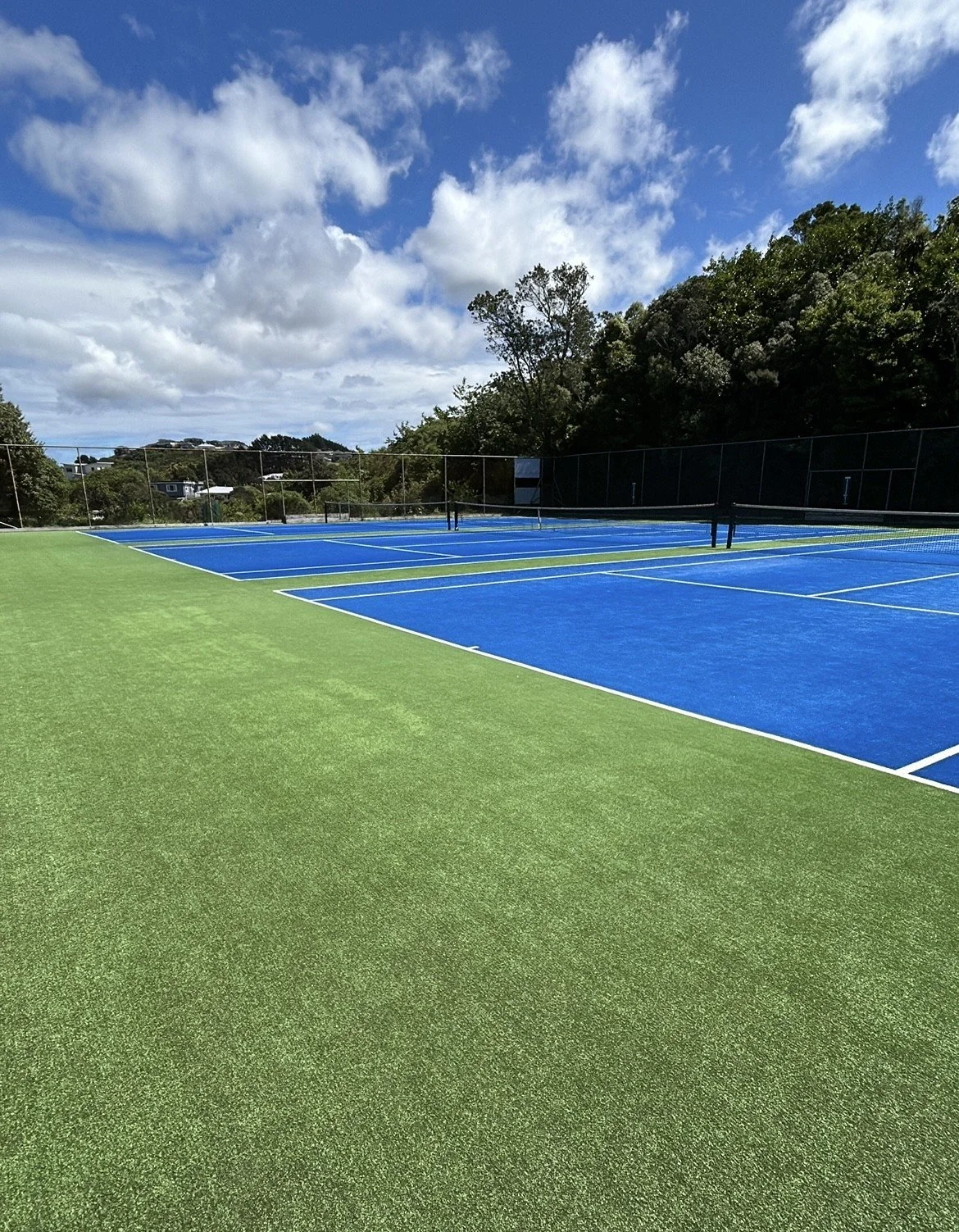 Empty blue tennis courts with white lines and black nets, surrounded by green artificial turf, under a partly cloudy sky with trees in the background.