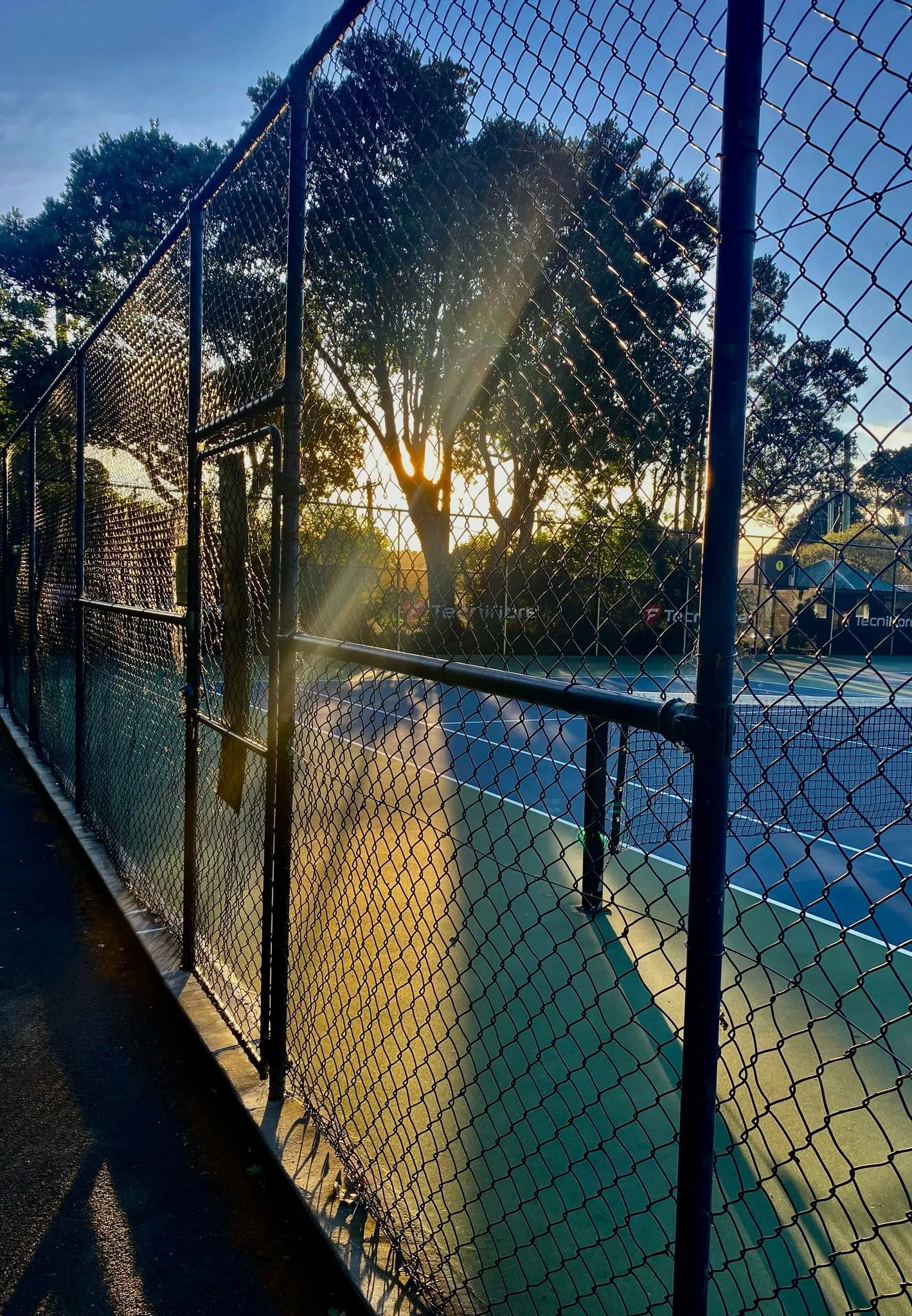 Empty tennis court with a fence and trees in the background, illuminated by sunlight