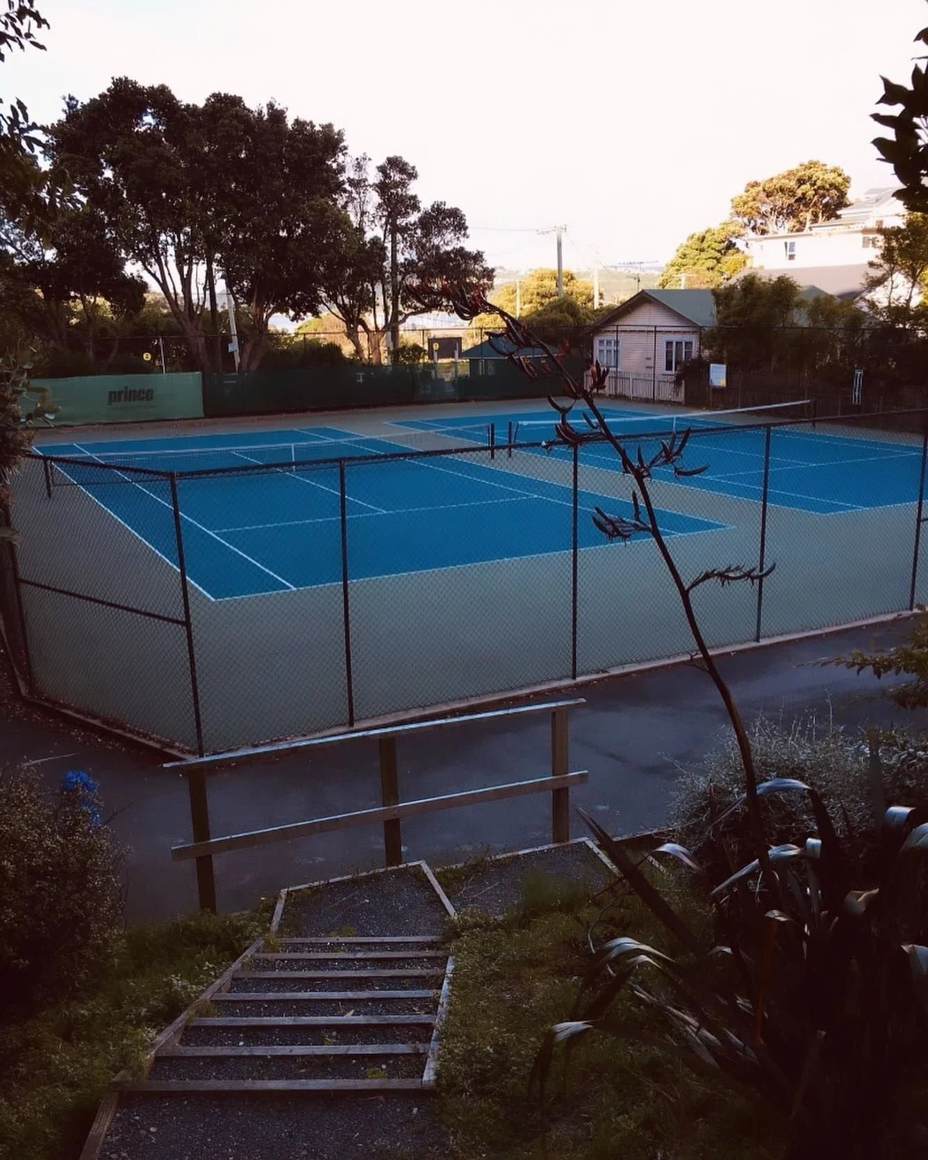 An outdoor tennis court with a blue playing surface is surrounded by a tall chain-link fence. Trees and small houses are visible in the background.