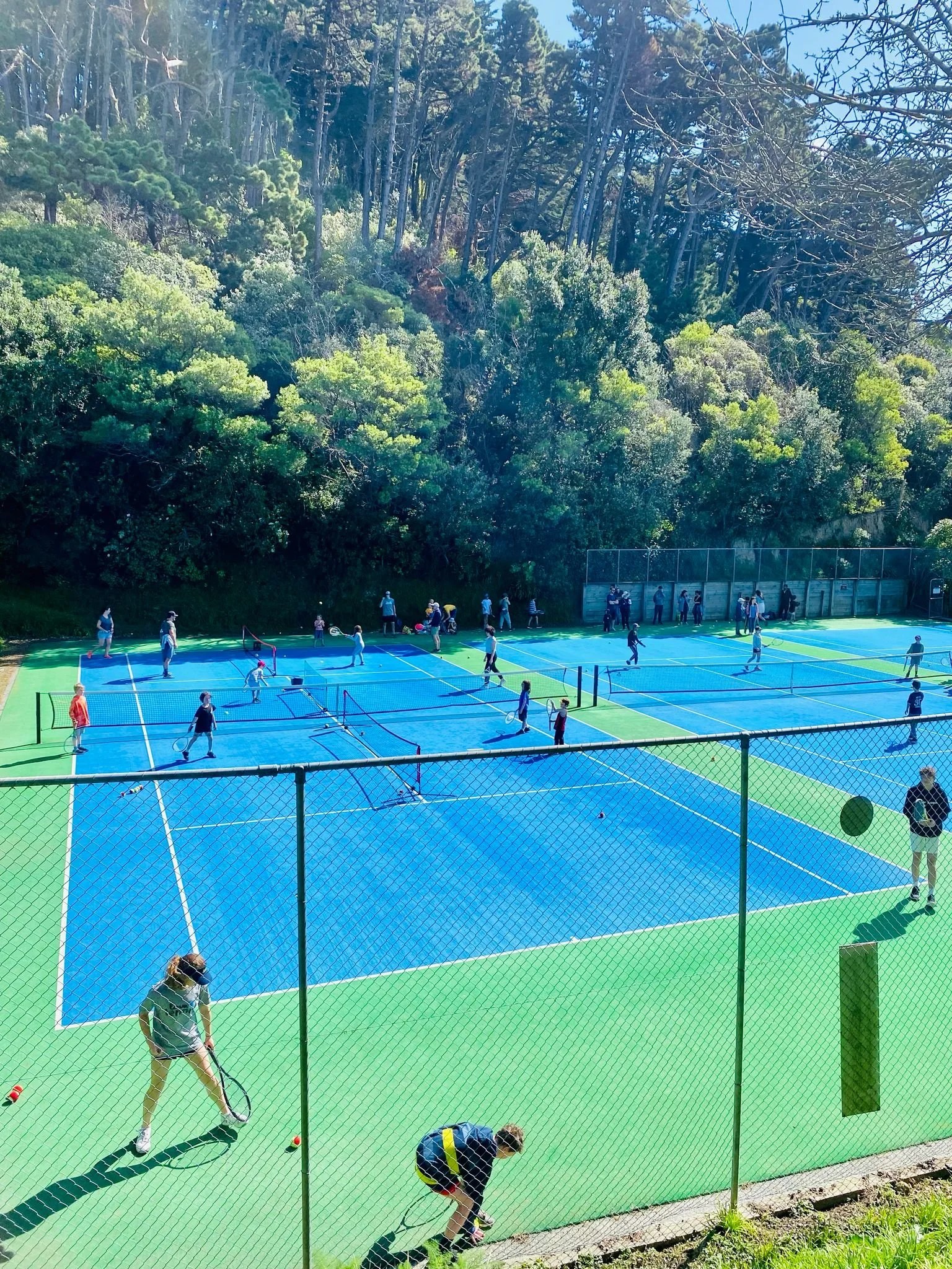 Multiple people playing pickleball on blue courts surrounded by green fencing, with trees and bushes in the background.