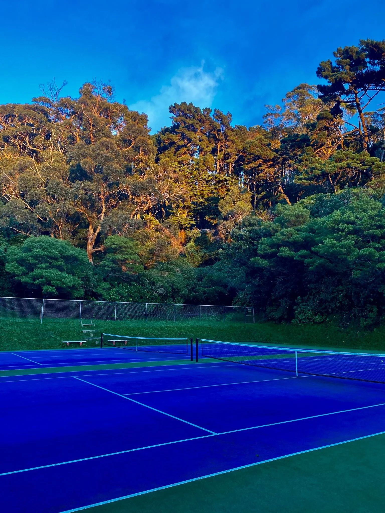 An empty blue tennis court surrounded by lush green trees and a chain-link fence, under a bright blue sky with a few clouds.