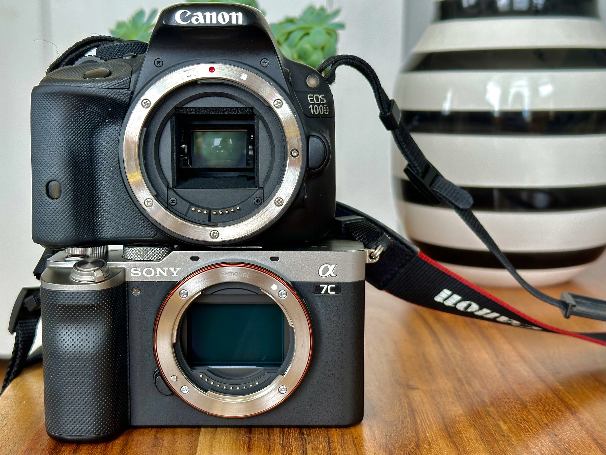 Full Frame or Crop Sensor Camera? Ultimate Guide for Nature & Travel Photography