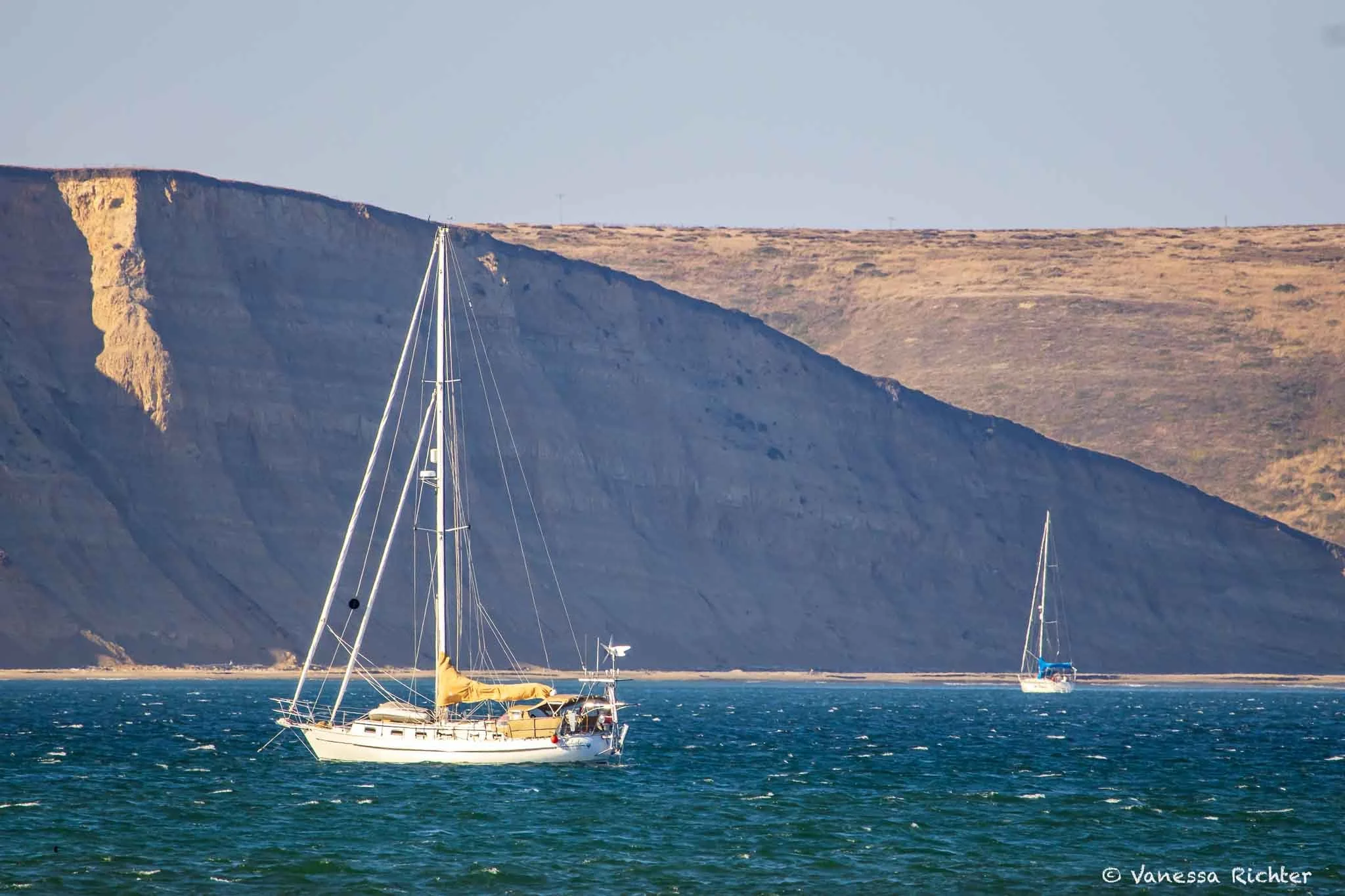 Nature-Focused Guide to Point Reyes National Seashore