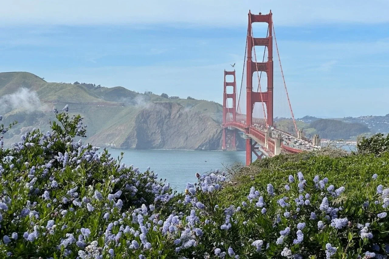 Best Outdoorsy Things To Do in San Francisco: Hidden Gems &amp; Favorites