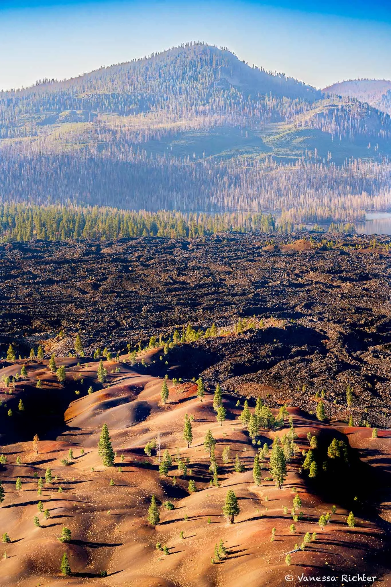 View from the rim of Cinder Cone over the Painted Dunes and Fantastic Lava Beds in Lassen Volcanic National Park, with a forested peak in the distance.