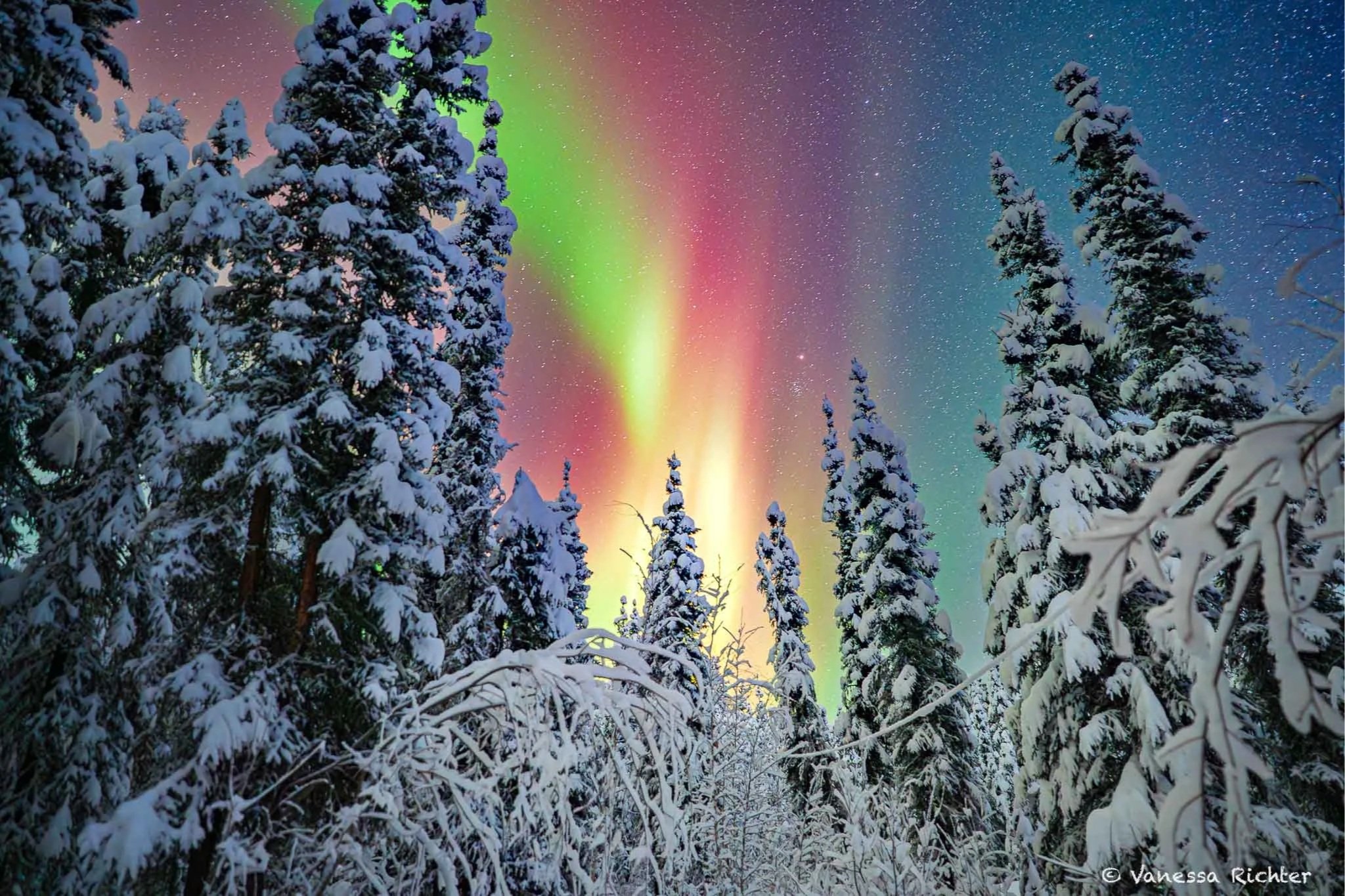 Guide To Alaska in Winter: Top Outdoor Adventures Around Anchorage, Denali And Fairbanks
