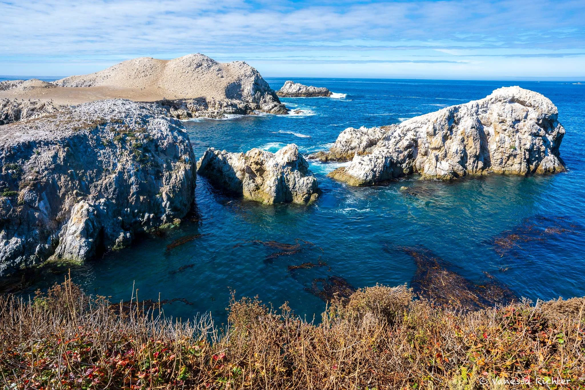 Coastline at Point Lobos with deep blue water and large rocks.