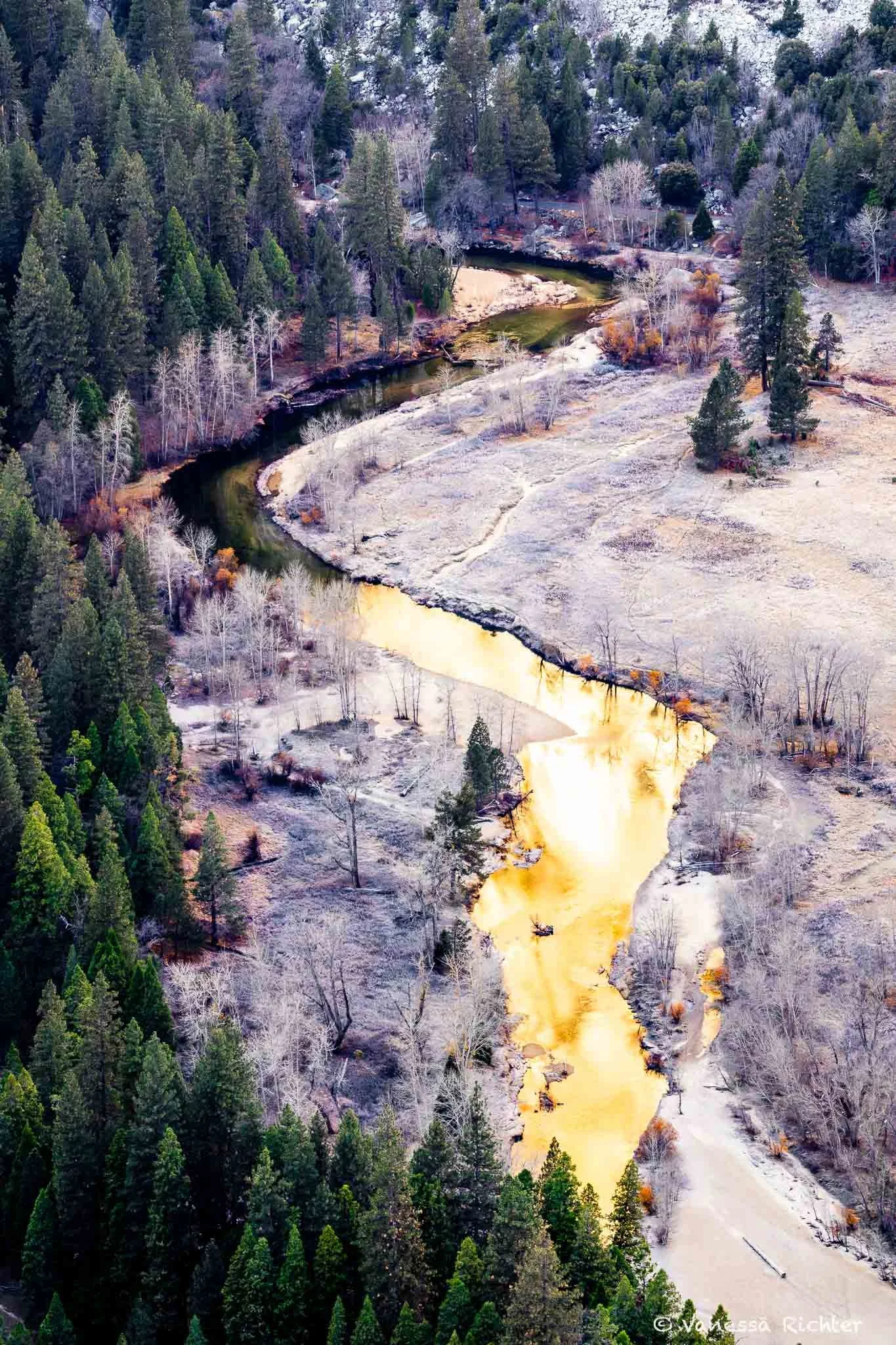 Merced river in Yosemite Valley  photographed in the morning light. The river banks are dusted in frost and the river glows golden, reflecting the mountains like a mirror. Evergreen trees frame the picture.