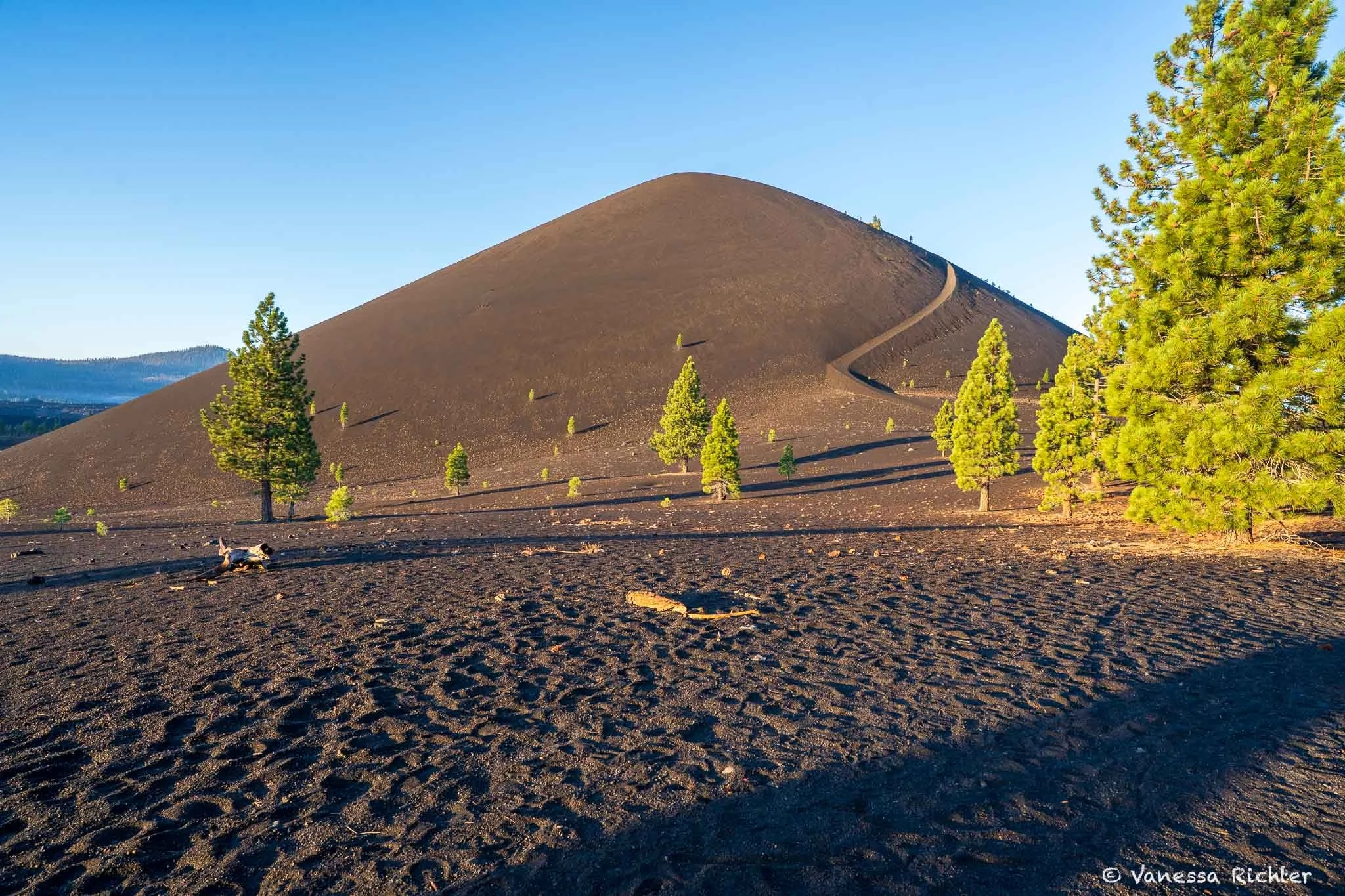 Cinder Cone in Lassen Volcanic National Park in early morning light, its symmetrical dark grey slope contrasted by sunlit pine trees in the foreground. The hiking trail is visible cutting up the side of the cone.