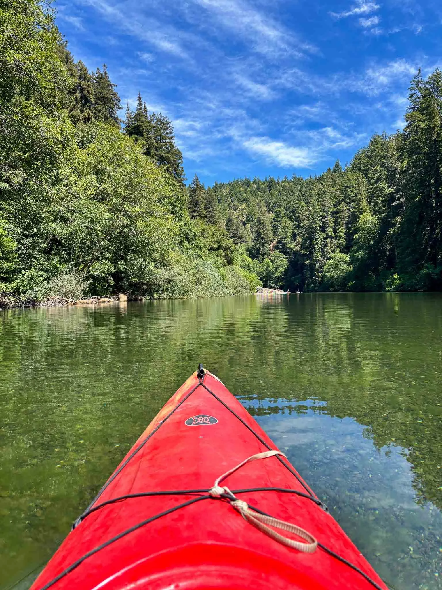 View from a kayak in the shallow waters of the Gualala River, with dense forest lining both banks.