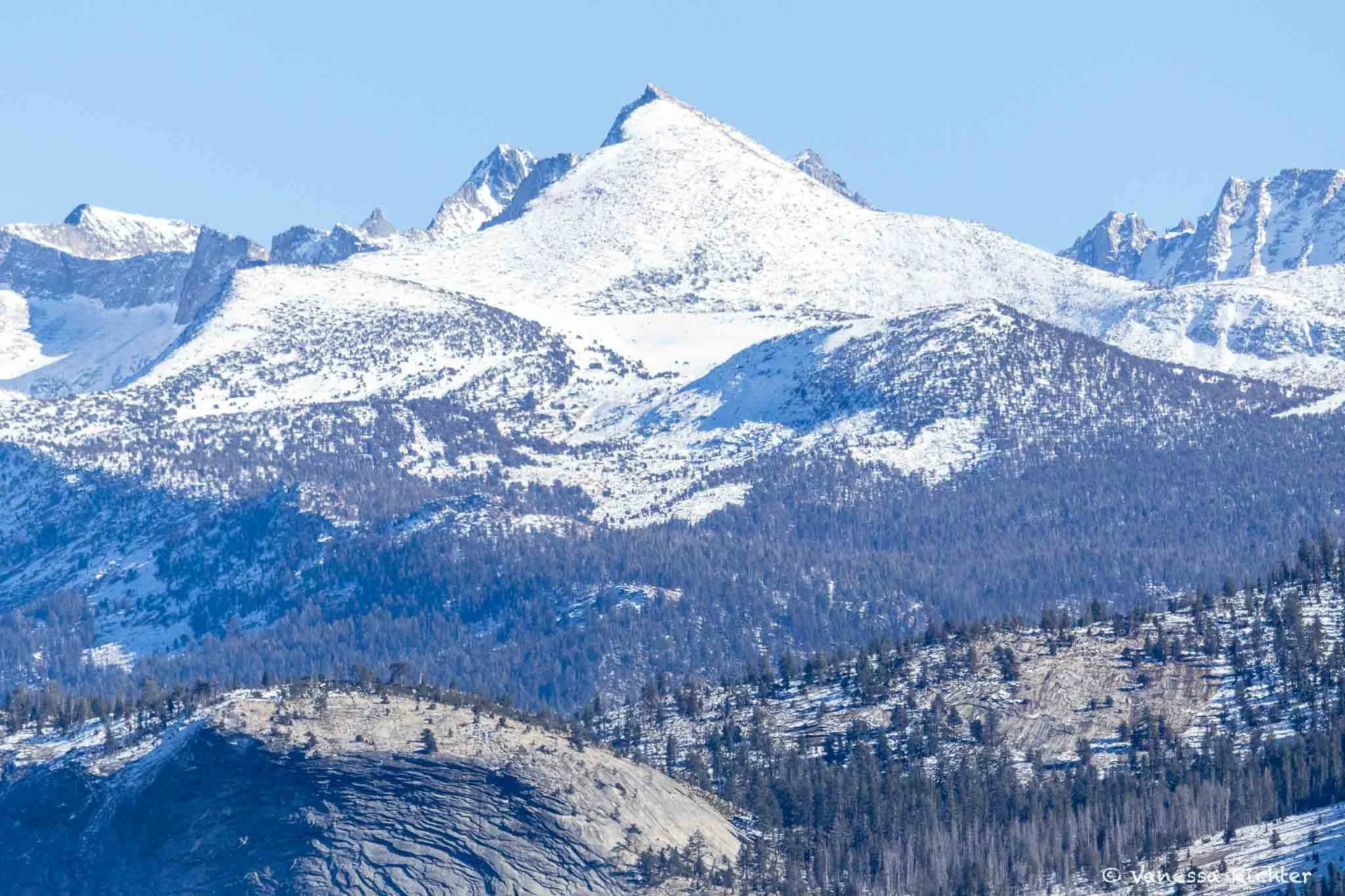 Snow-capped mountain peak close-up in Yosemite National Park with granite mountain ridges and trees in the foreground.