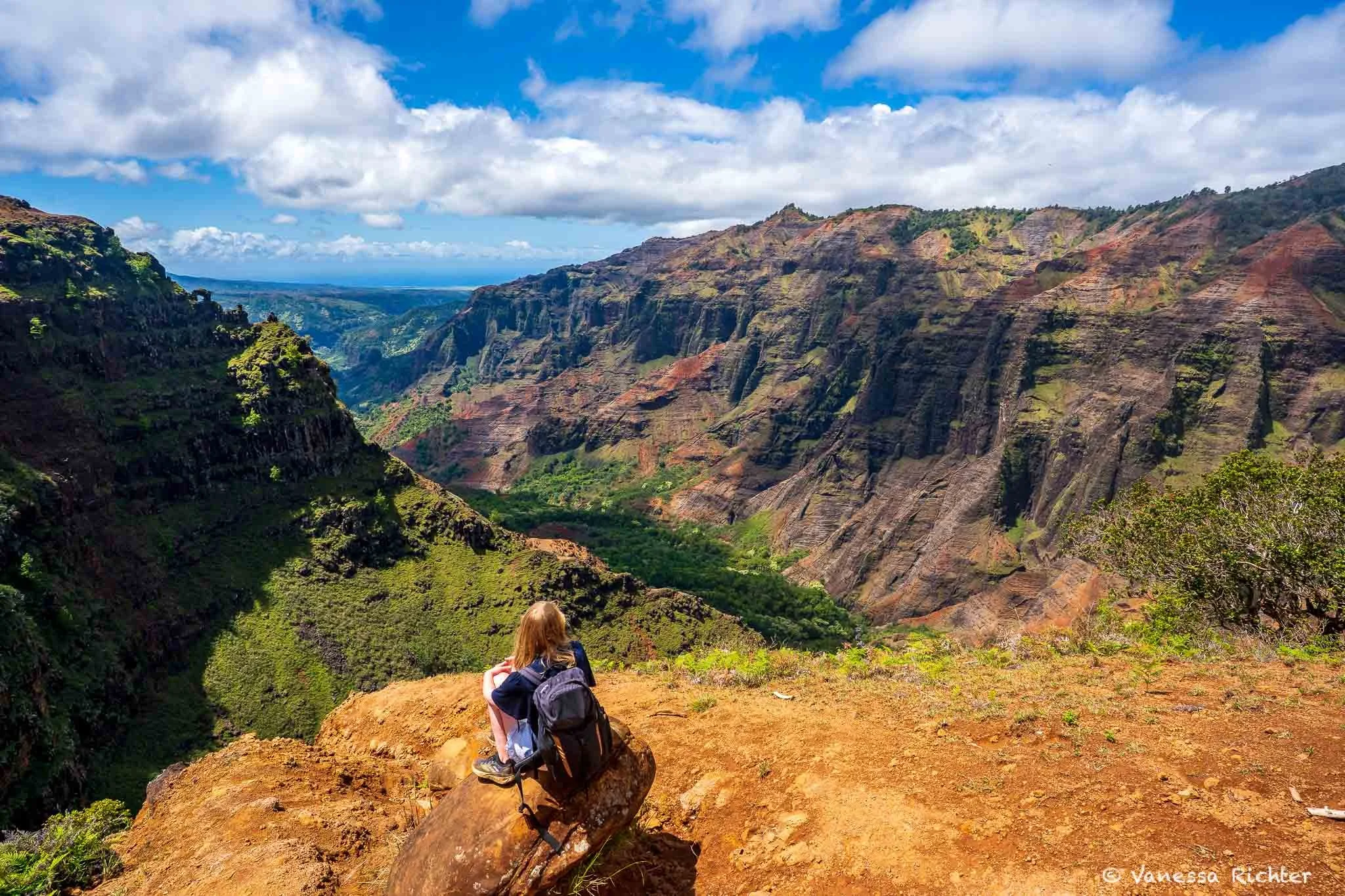 View of the Waimea Canyon from the hiking trail to Waipo’o falls. Mountain ridges colored in red and green stretch toward the ocean. 