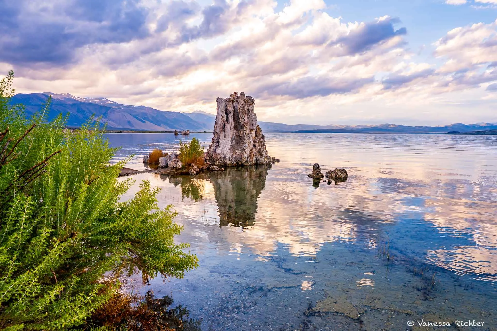 A Tufa tower and clouds reflect in Mono Lake around sunset.