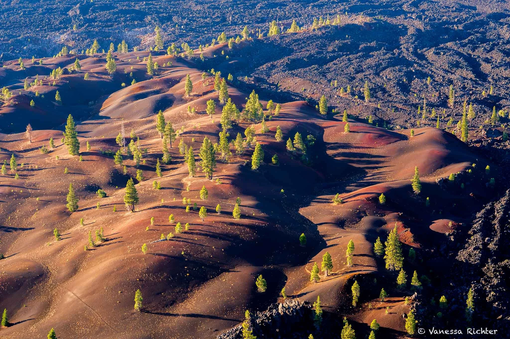 The Painted Dunes seen from the rim of Cinder Cone in Lassen Volcanic National Park, their oxidized red, orange, and tan slopes glowing in the morning light.