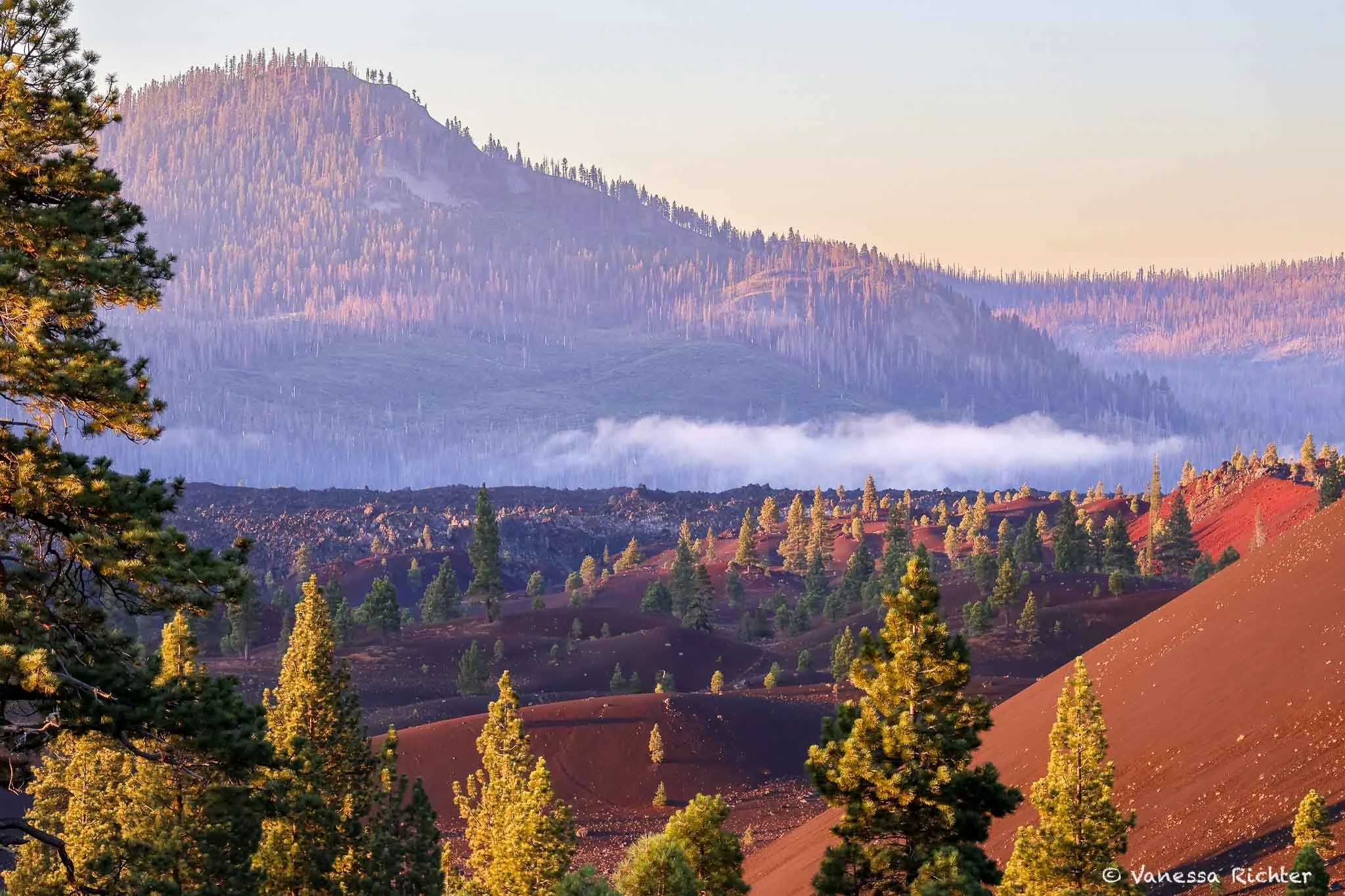 Telephoto view of one slope of Cinder Cone in Lassen Volcanic National Park, with mist rising off Butte Lake behind it in the morning light.