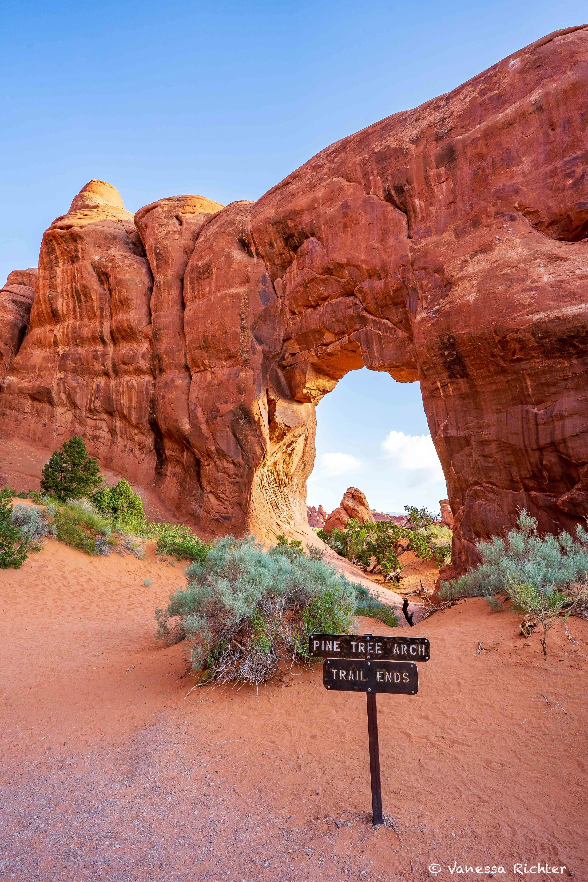 Pine Tree Arch framing a desert landscape along the Devils Garden Trail in Arches National Park.