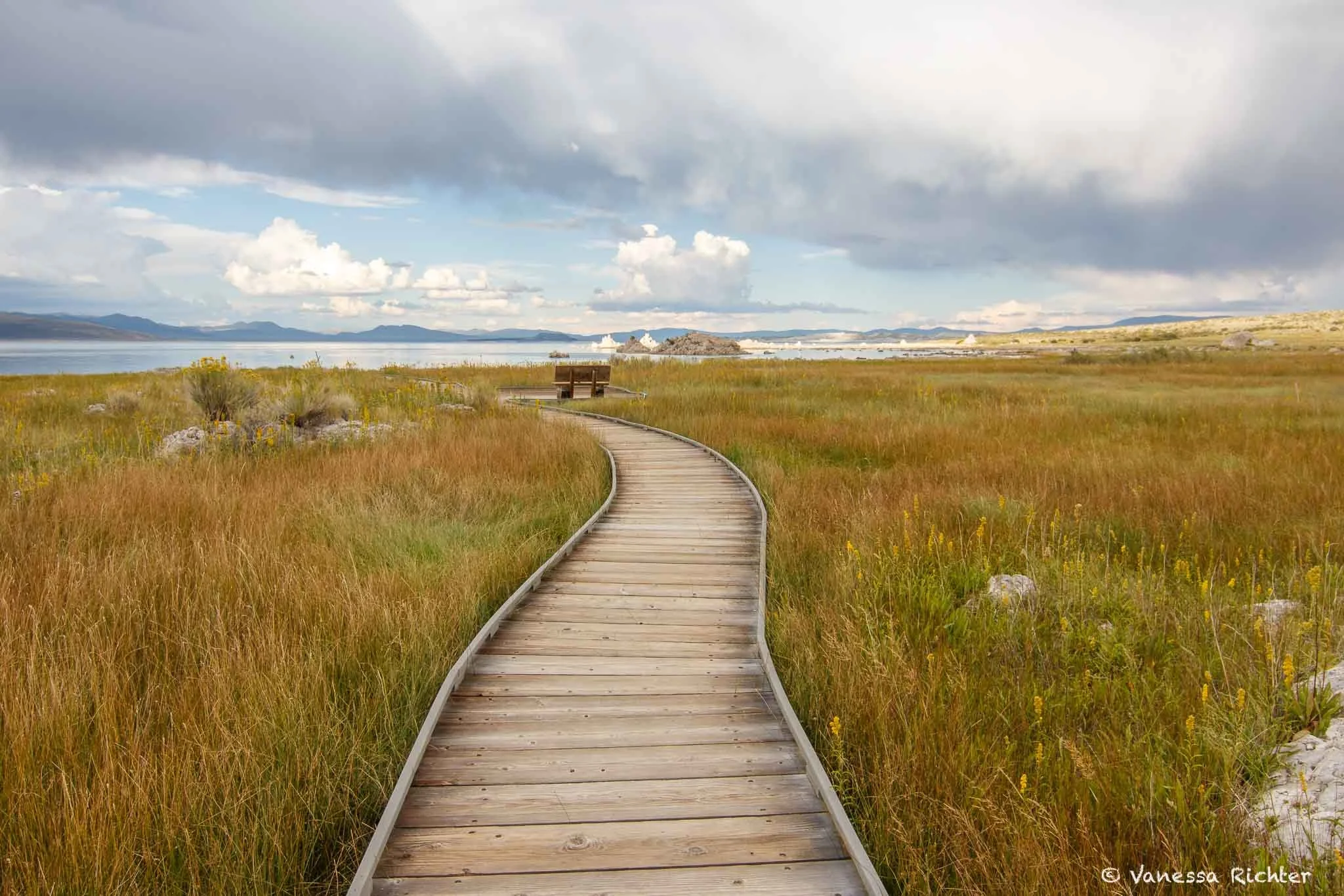 The David Gaines Memorial Boardwalk leading toward Mono Lake, with a bench visible in the distance. Tufa towers rise from the water, several glowing white in the afternoon sun.