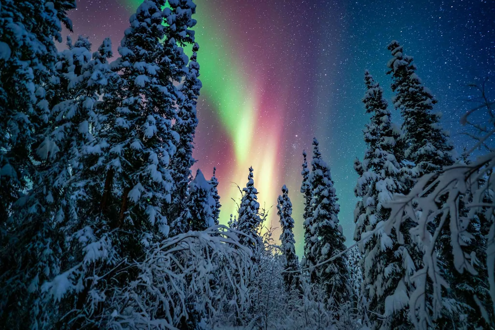 Guide To Alaska in Winter: Top Outdoor Adventures Around Anchorage, Denali And Fairbanks