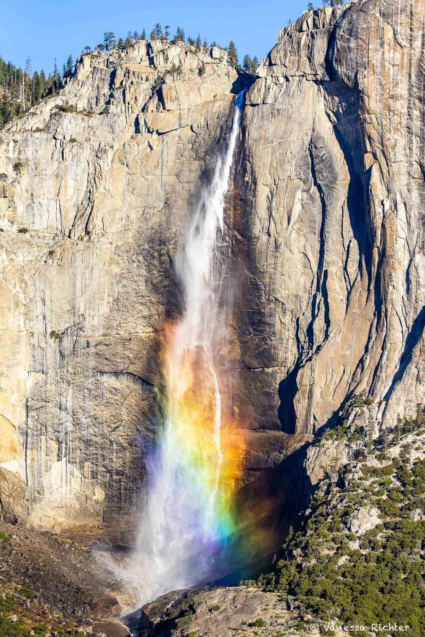 Upper Yosemite Falls photographed from the Four Mile Trail. The morning sun creates a rainbow in the mist.