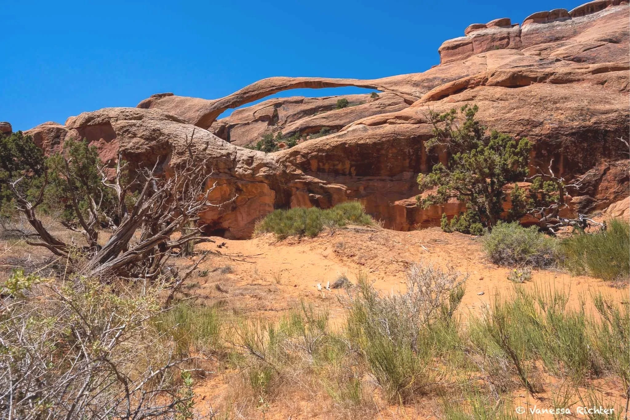 View of Landscape Arch from the designated viewing area. Before the 1991 rockfall, people could also hike beneath the arch, but that has been history since.