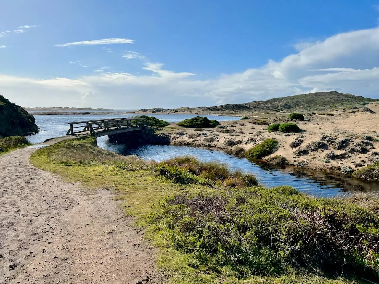 A wooden footbridge at Abbotts Lagoon (Point Reyes)crossing between two lagoons at Abbotts Lagoon, with sand dunes and coastal vegetation in the background.