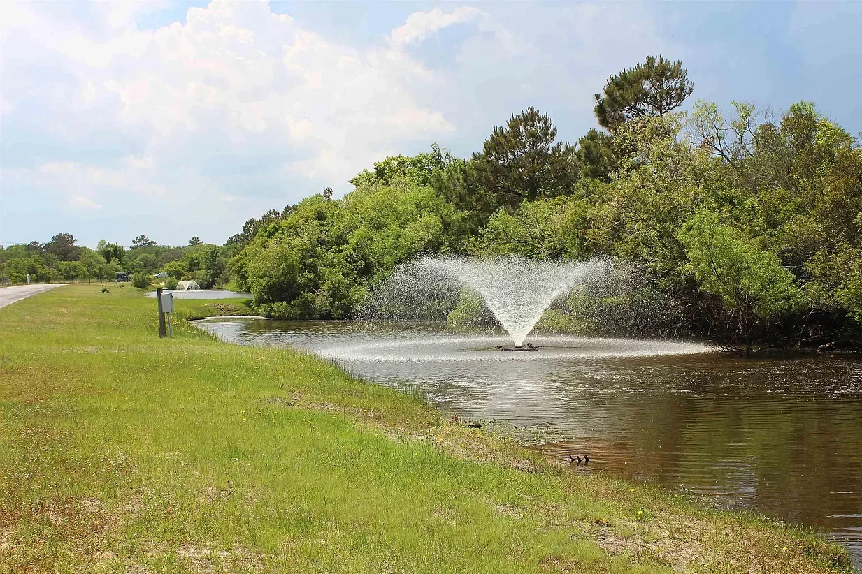 Community Pond