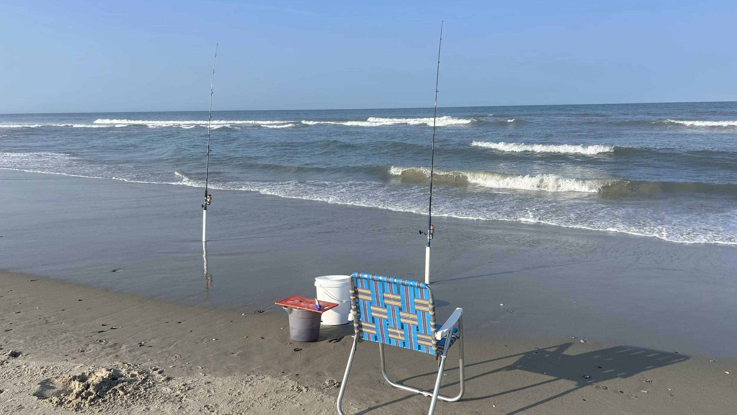 Surf fish 