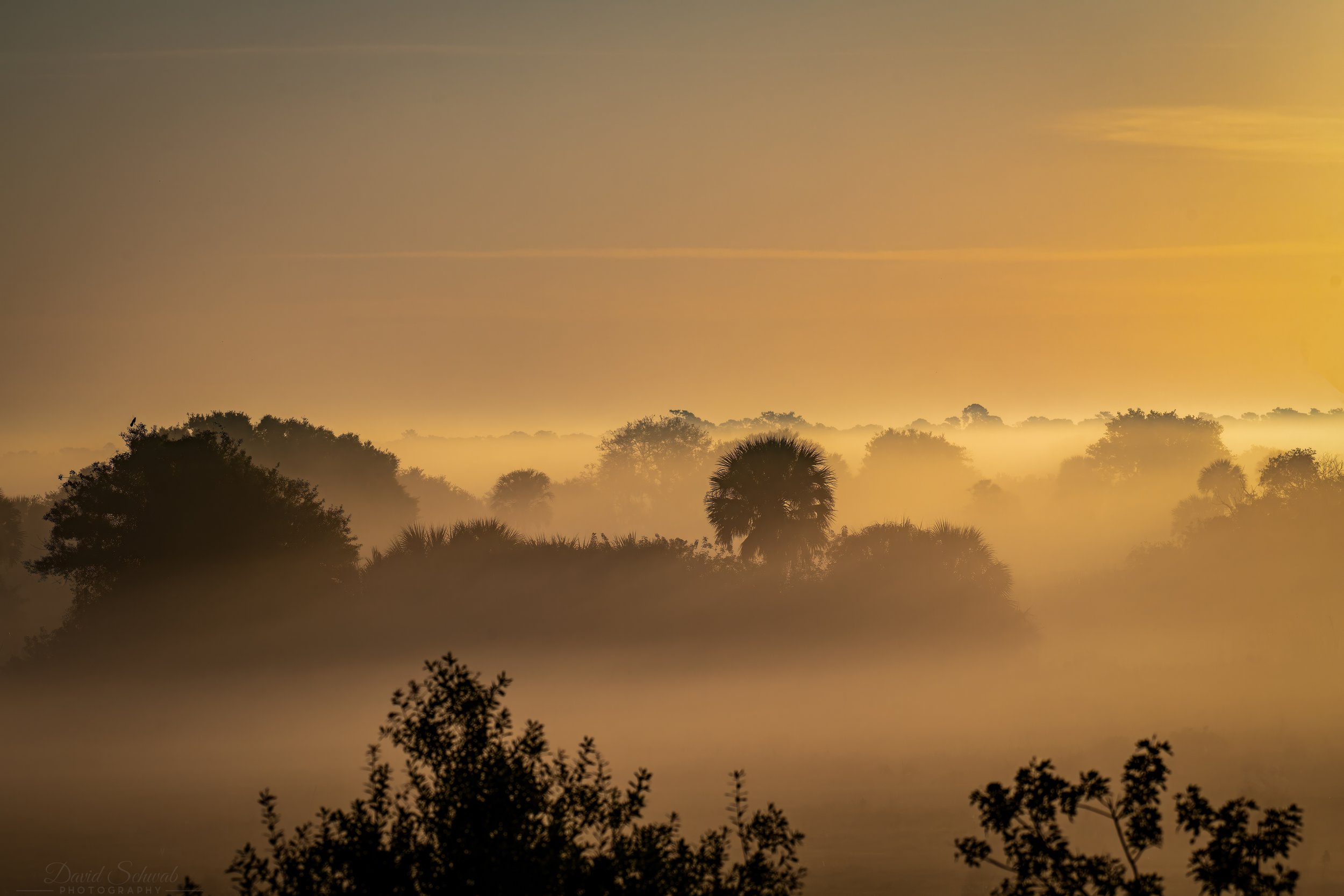 850_7394-Edit-Edit.jpg